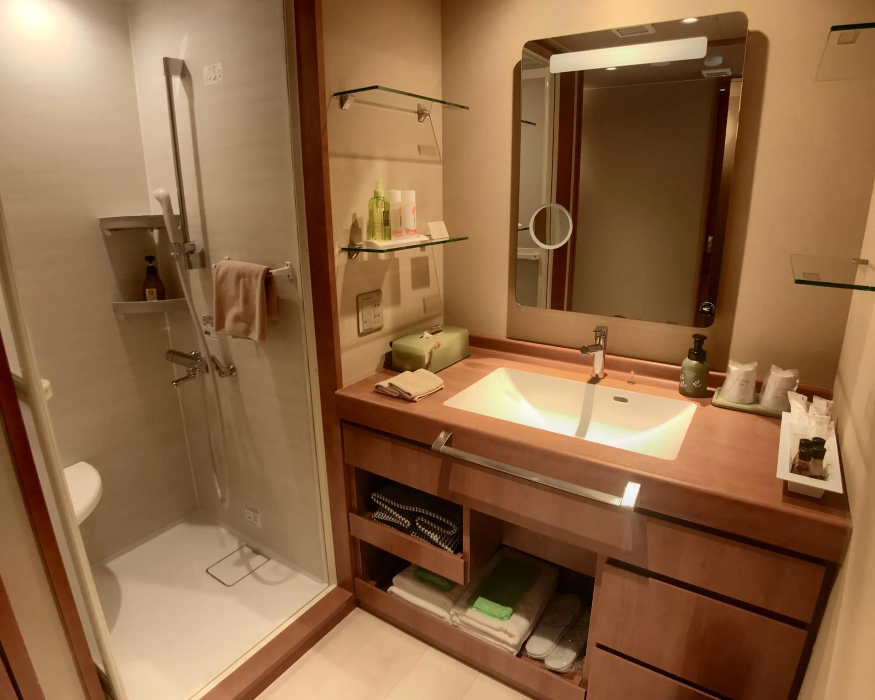 Shower in Komatsu-kan Kofu-tei