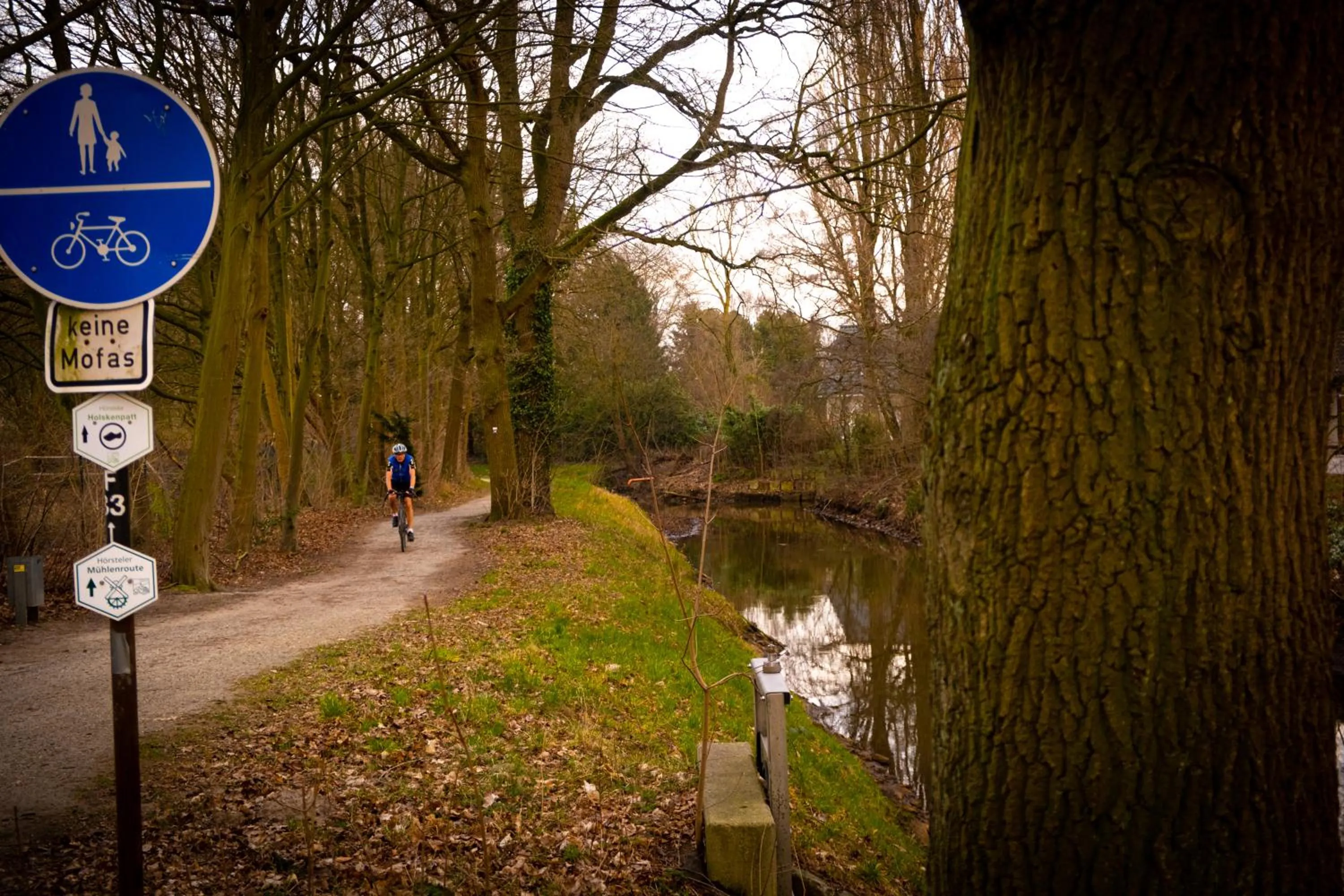 Garden in Hotel Saltenhof