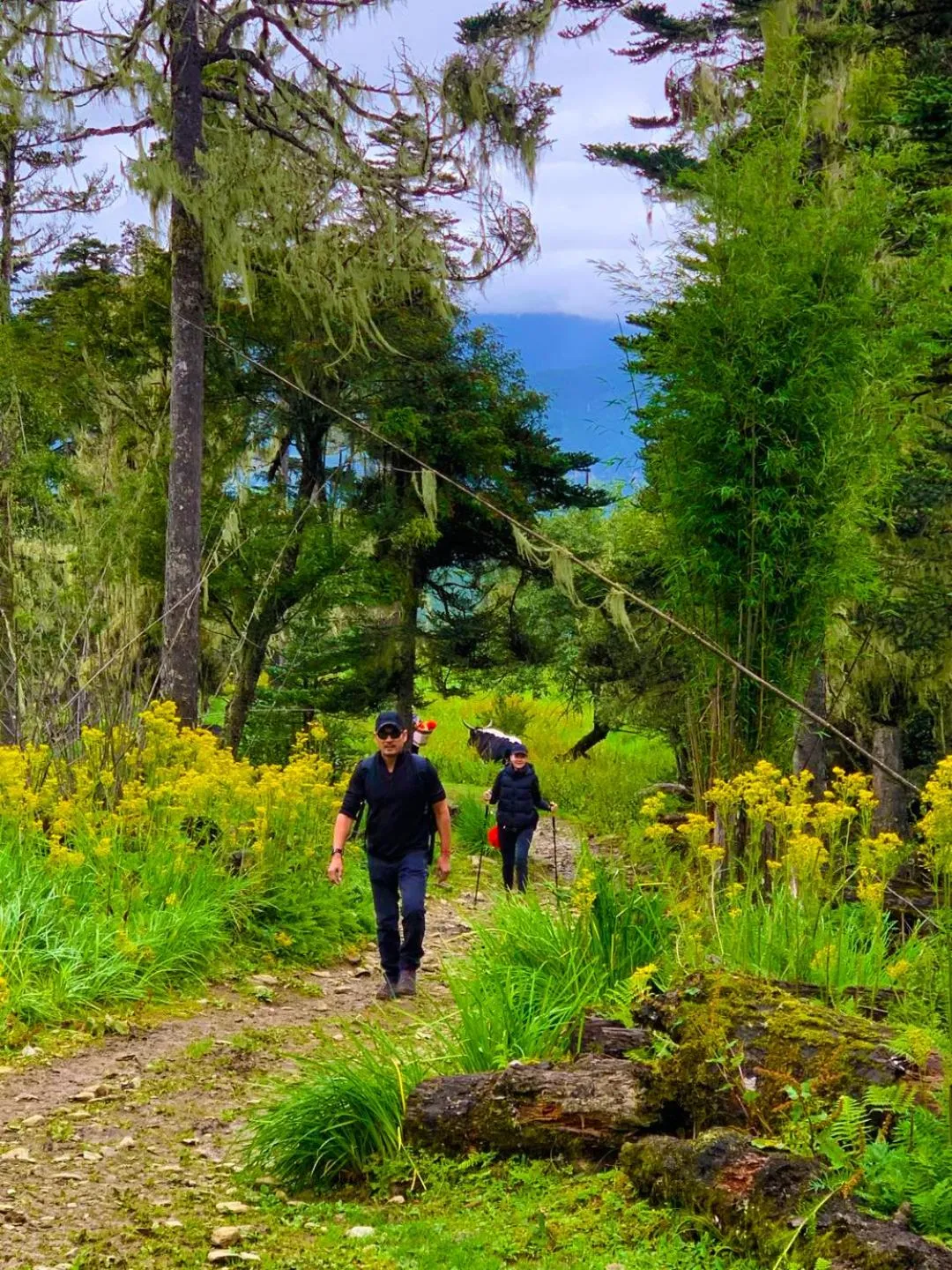 Hiking in Arro Khampa By Zinc Journey Shangri-la