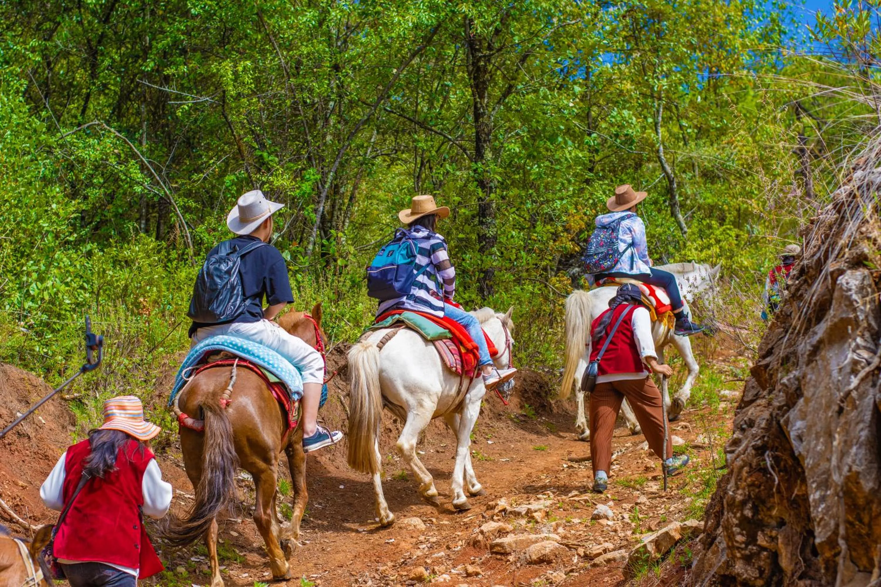 Horse-riding in Arro Khampa By Zinc Journey Shangri-la