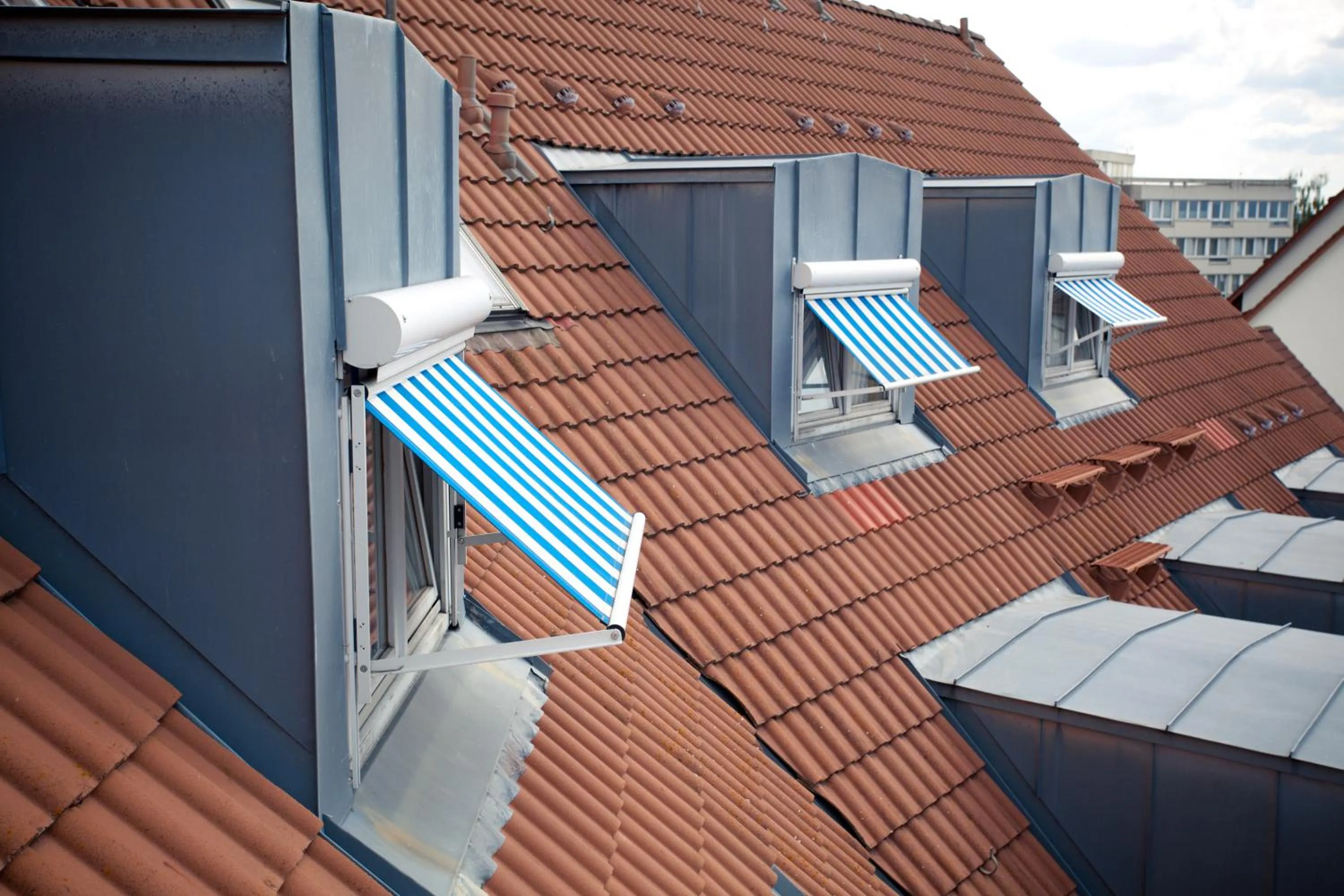 Facade/entrance in Akzent Hotel Torgauer Hof