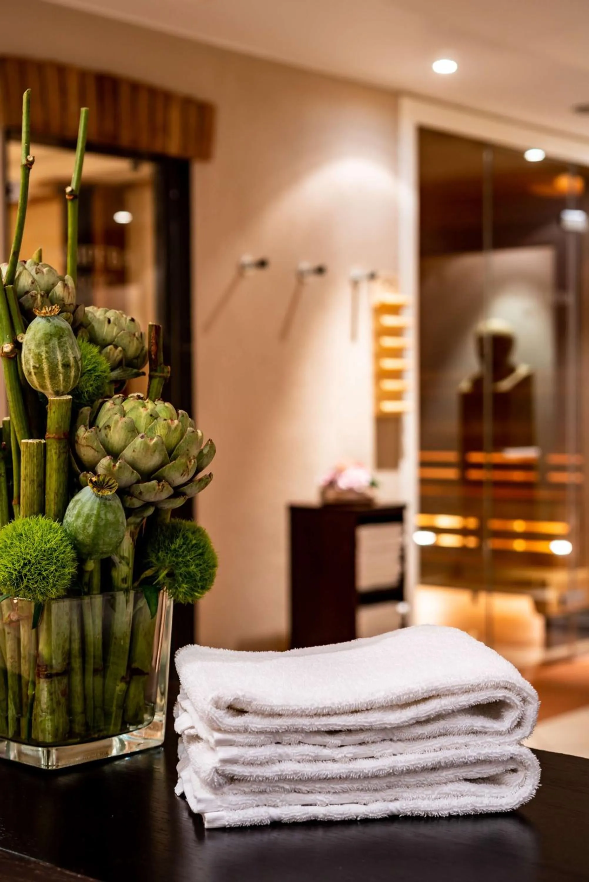 Spa and wellness centre/facilities in Park Plaza Trier