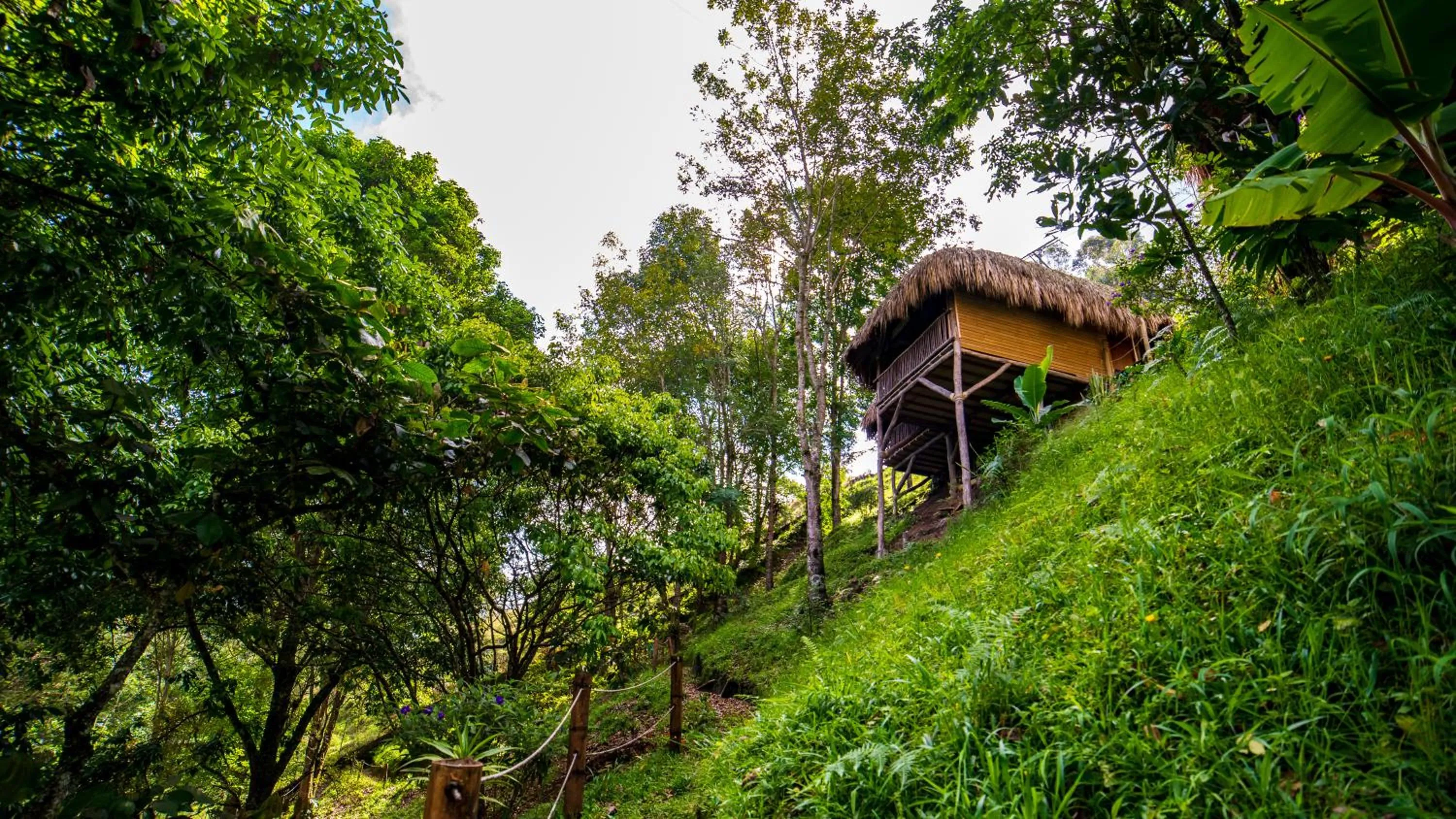 Day in Hotel Kawa Mountain Retreat