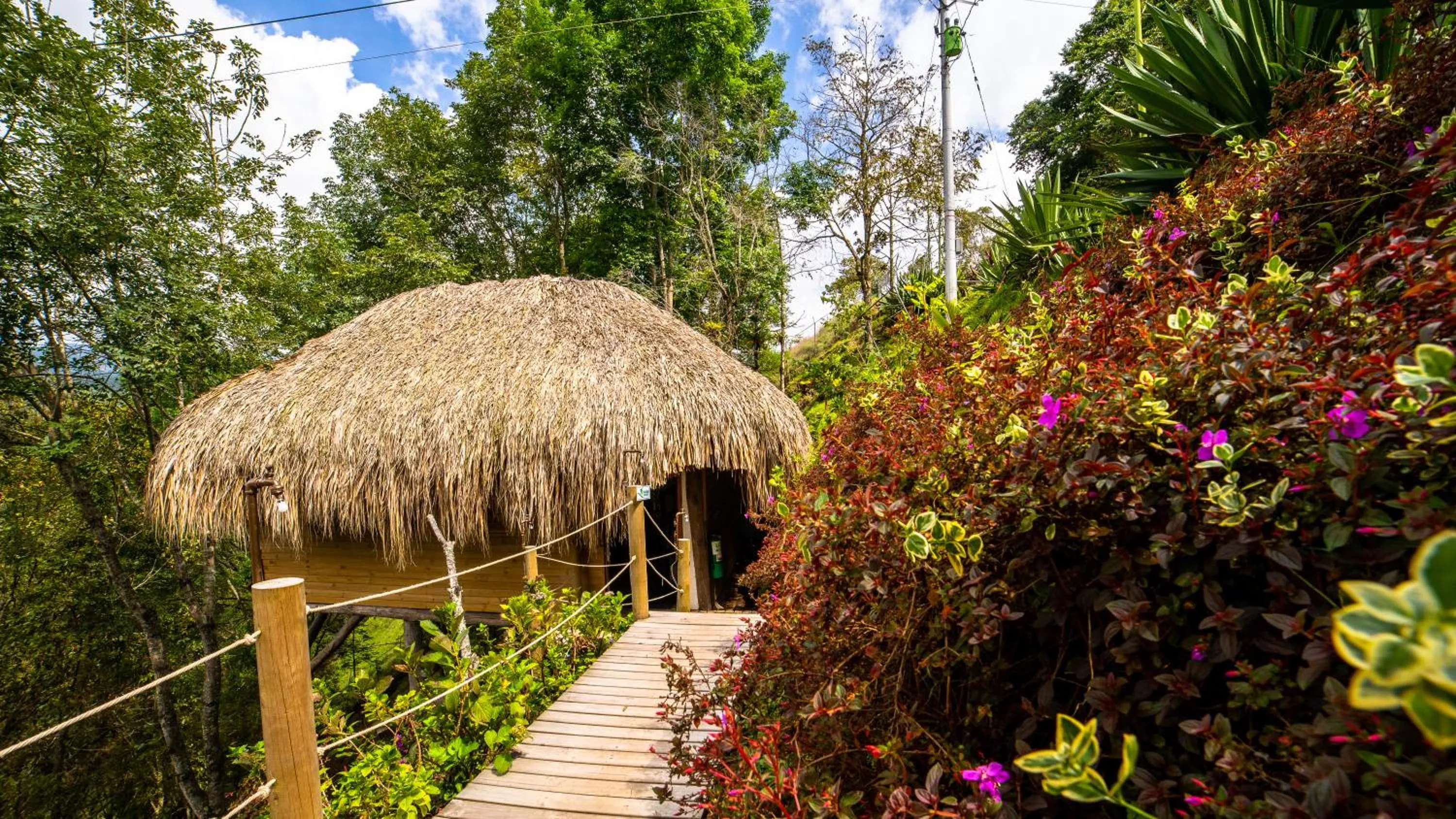 Off site in Hotel Kawa Mountain Retreat