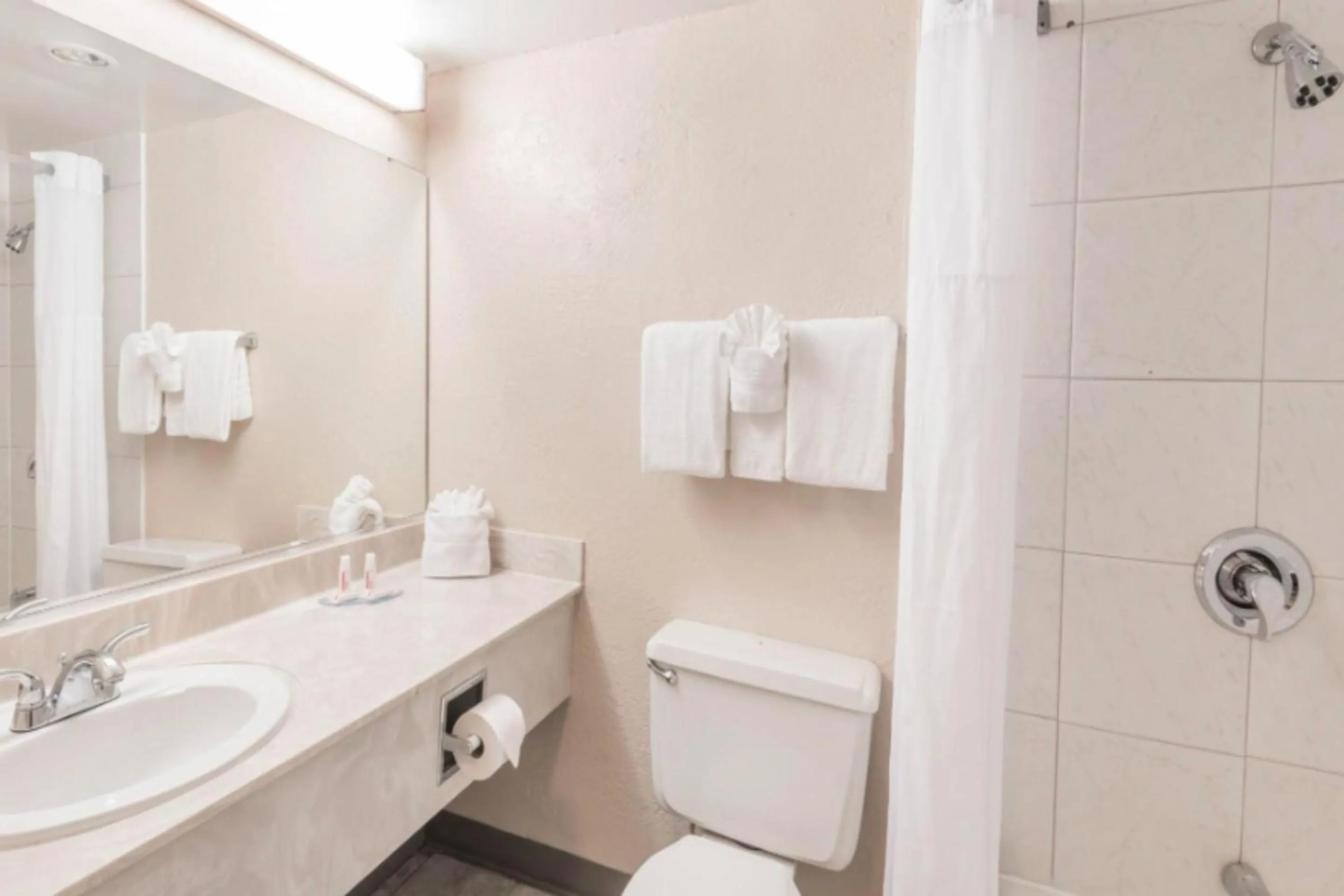 Bathroom in Buckeye Inn Express