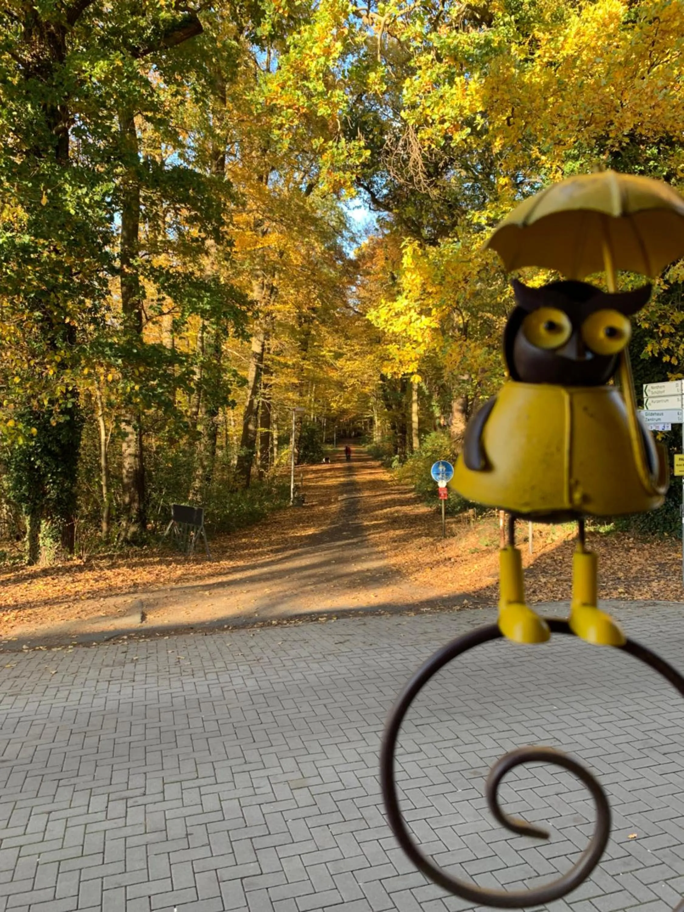 Hiking in Hotel Bentheimer Hof