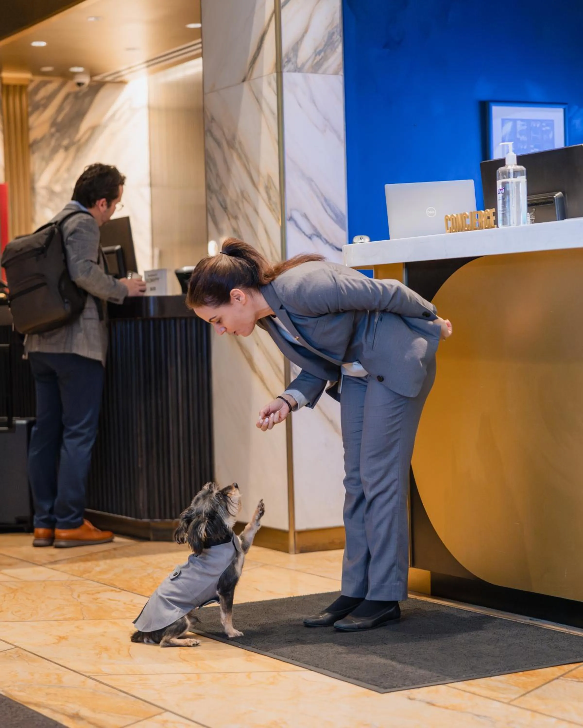 pet friendly in Le Meridien New York, Central Park