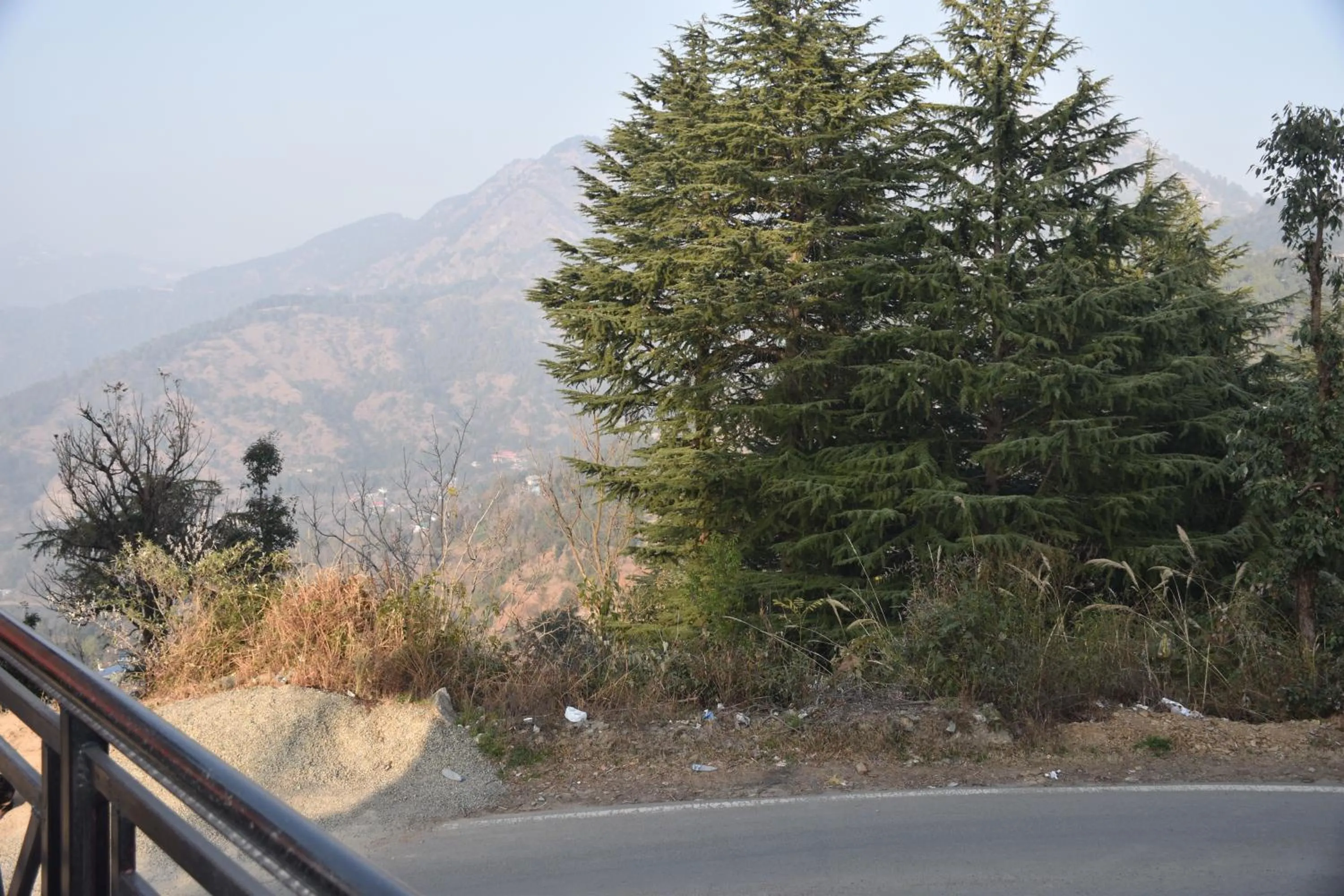 Mountain view in Whistling Alpines