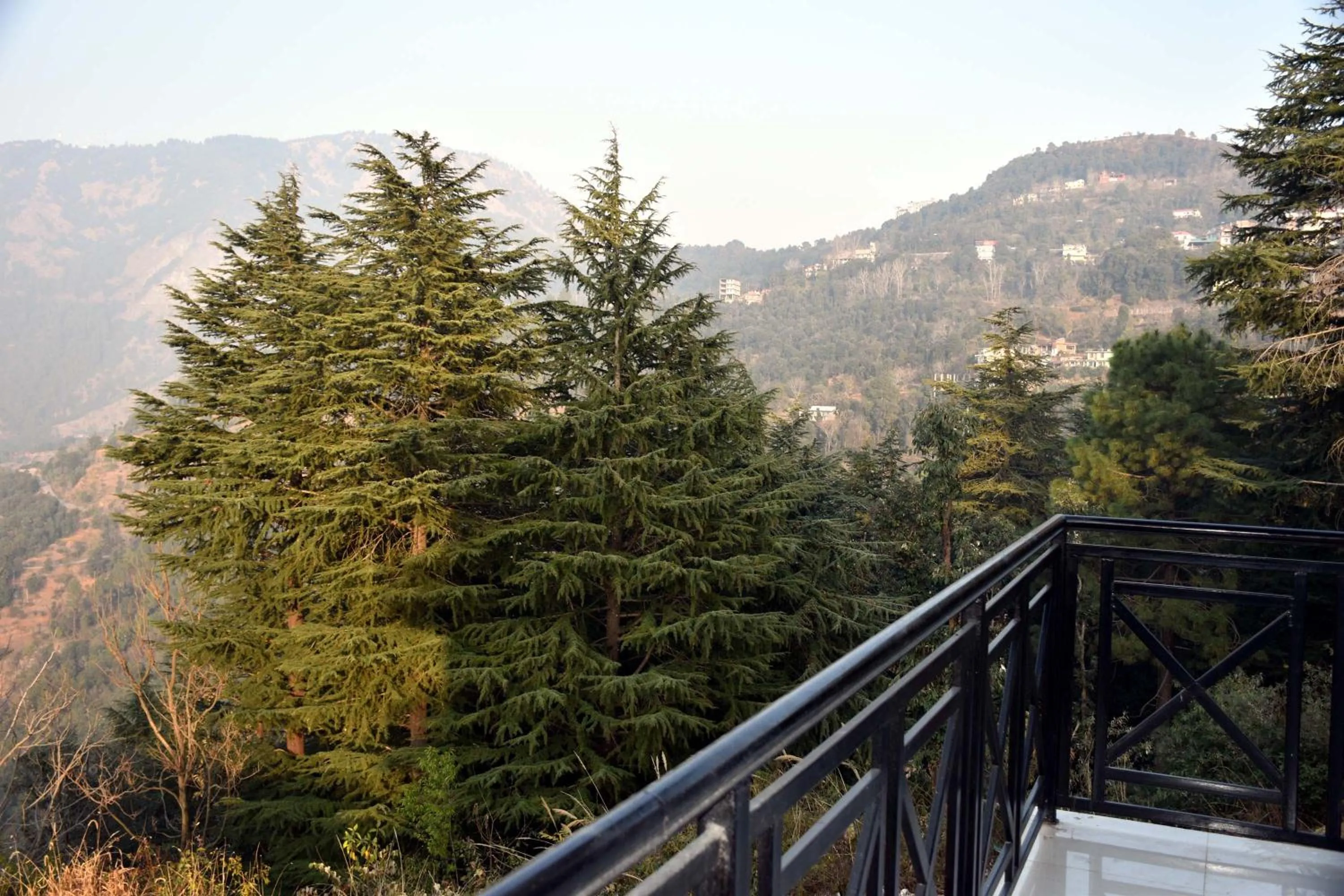 Balcony/Terrace in Whistling Alpines