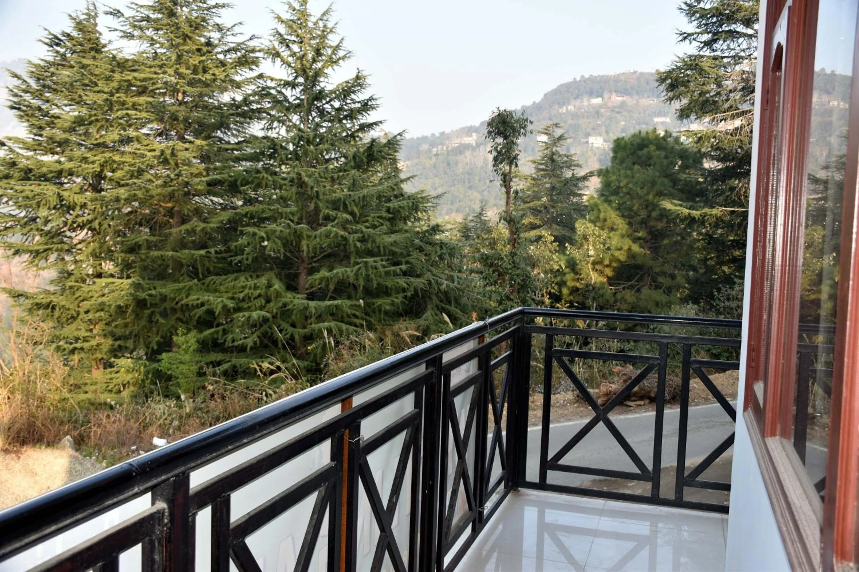 Balcony/Terrace in Whistling Alpines