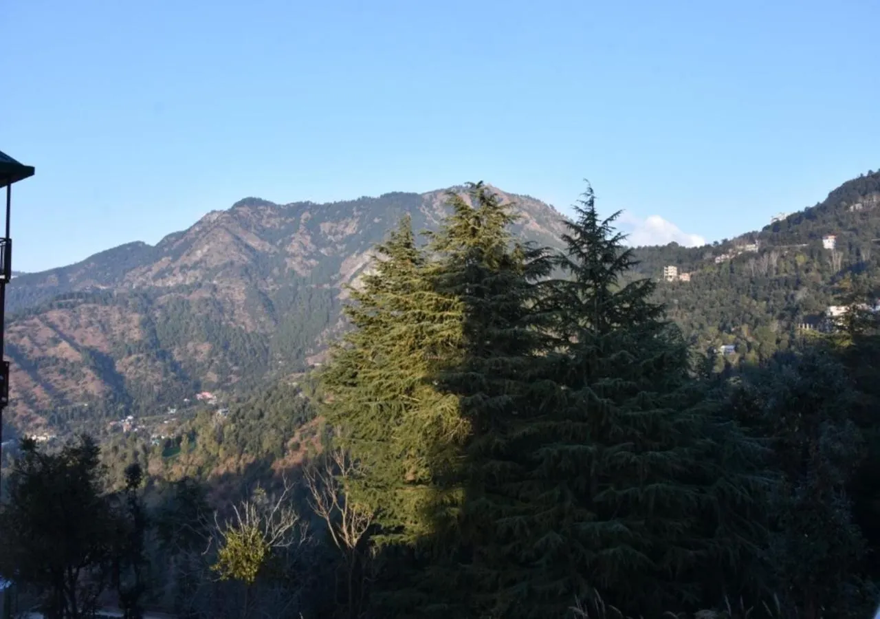 Mountain view in Whistling Alpines