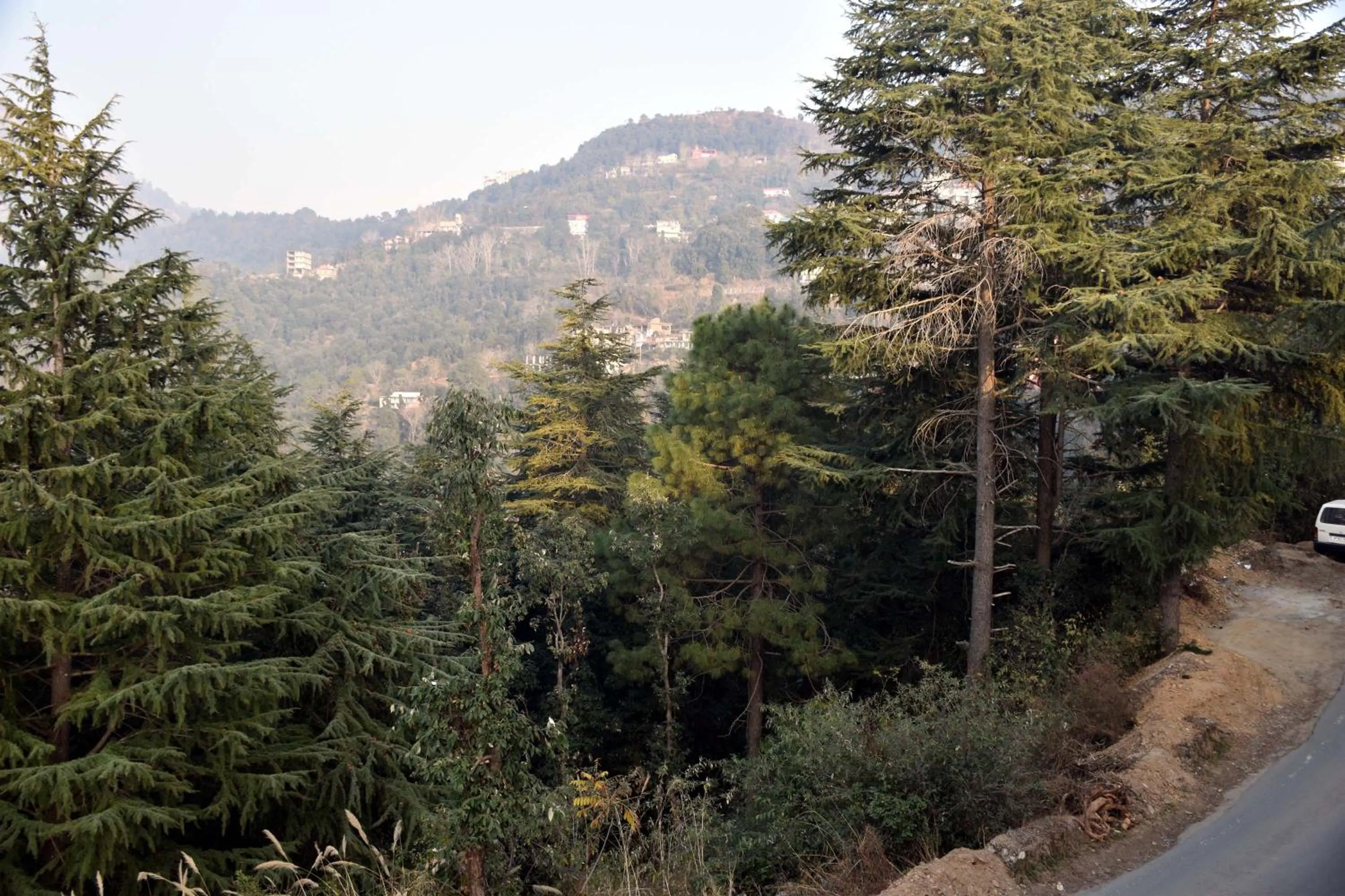 Natural landscape in Whistling Alpines