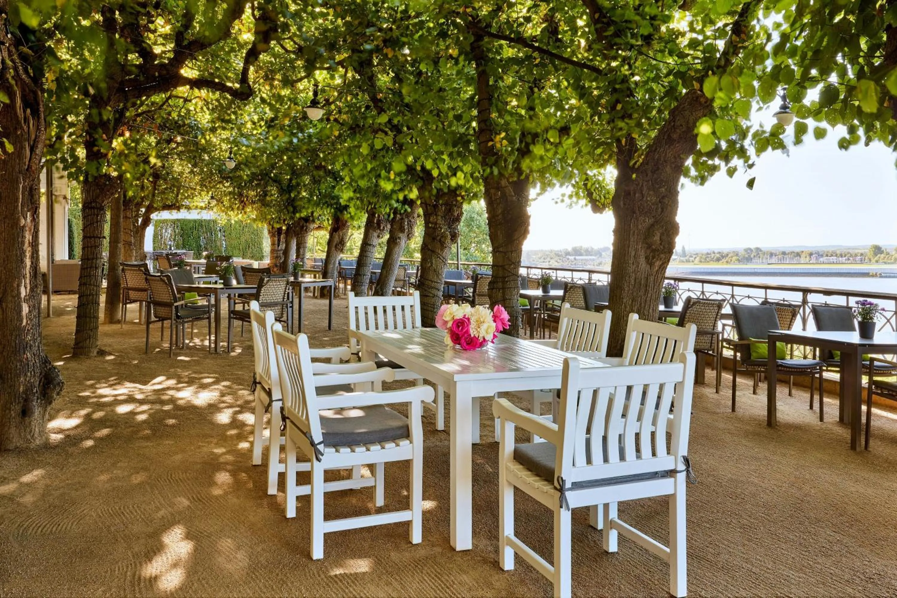 Other in Louis C Jacob, Hamburg, Autograph Collection