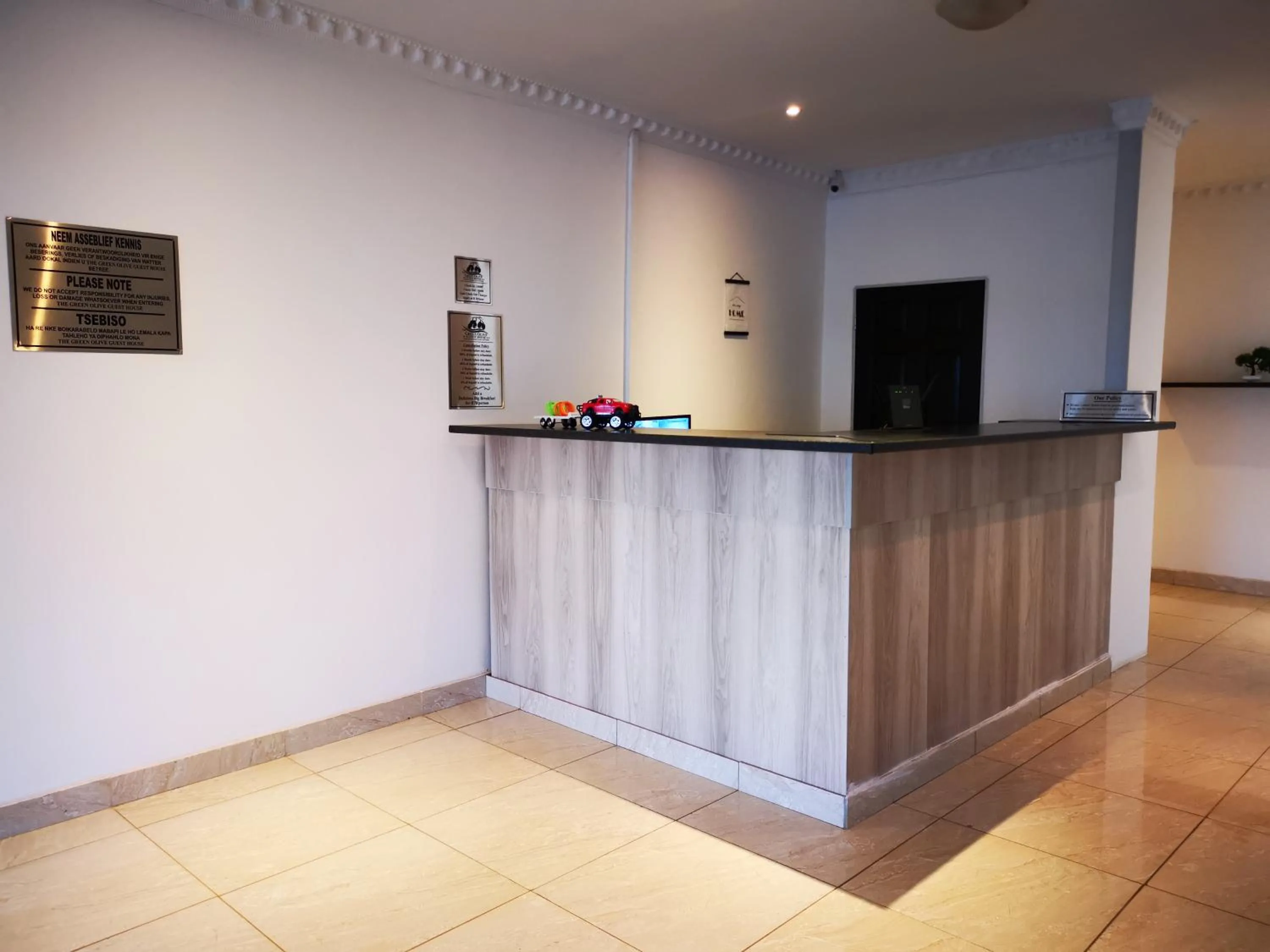 Green Olive Panorama