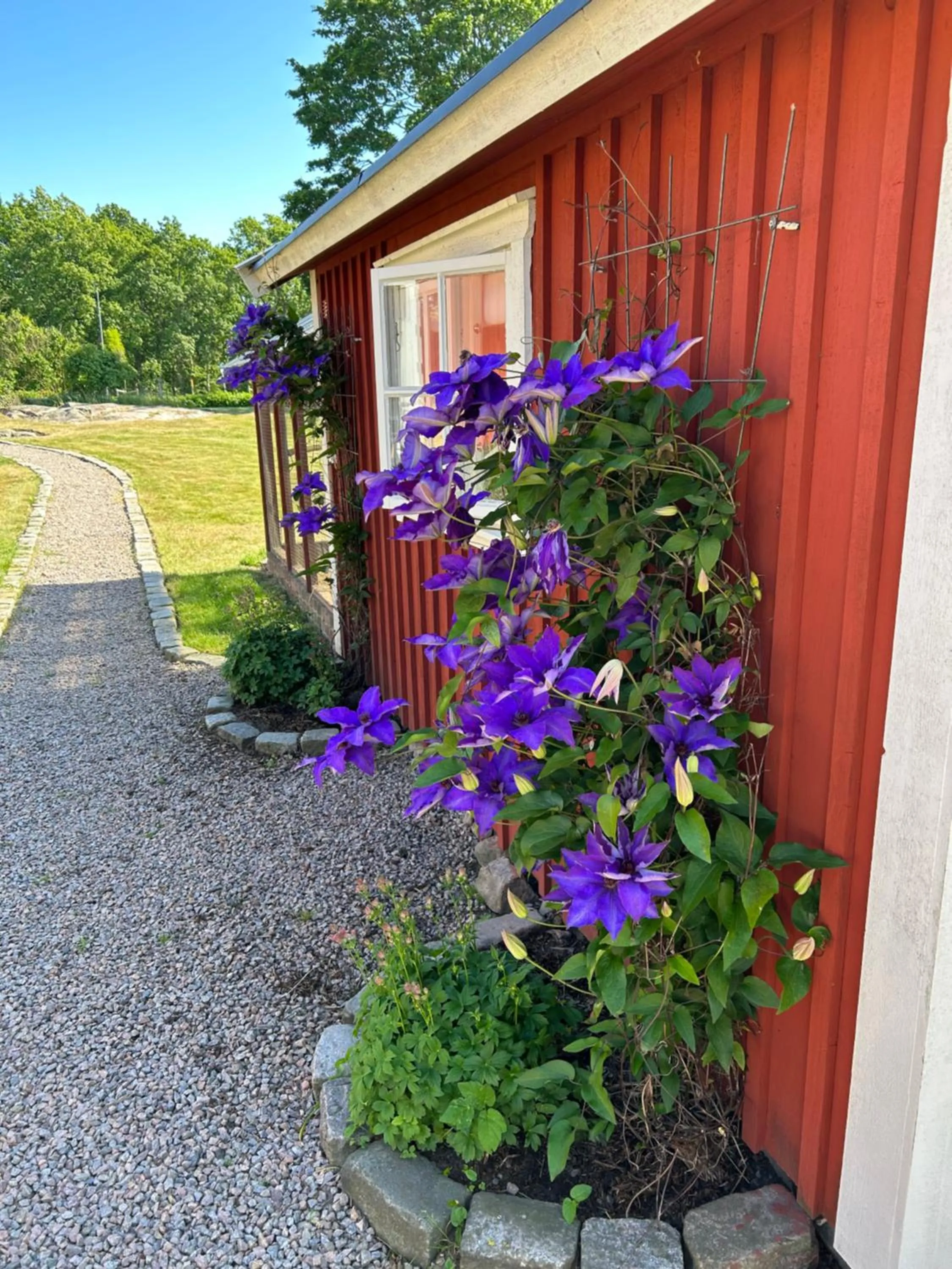 Garden in Halmstad Gårdshotell