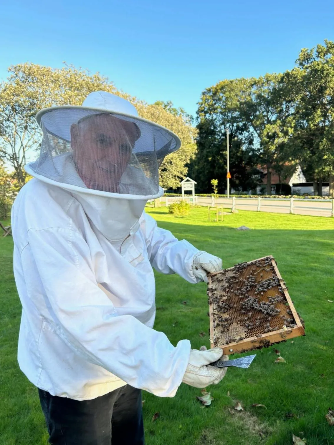 Garden in Halmstad Gårdshotell