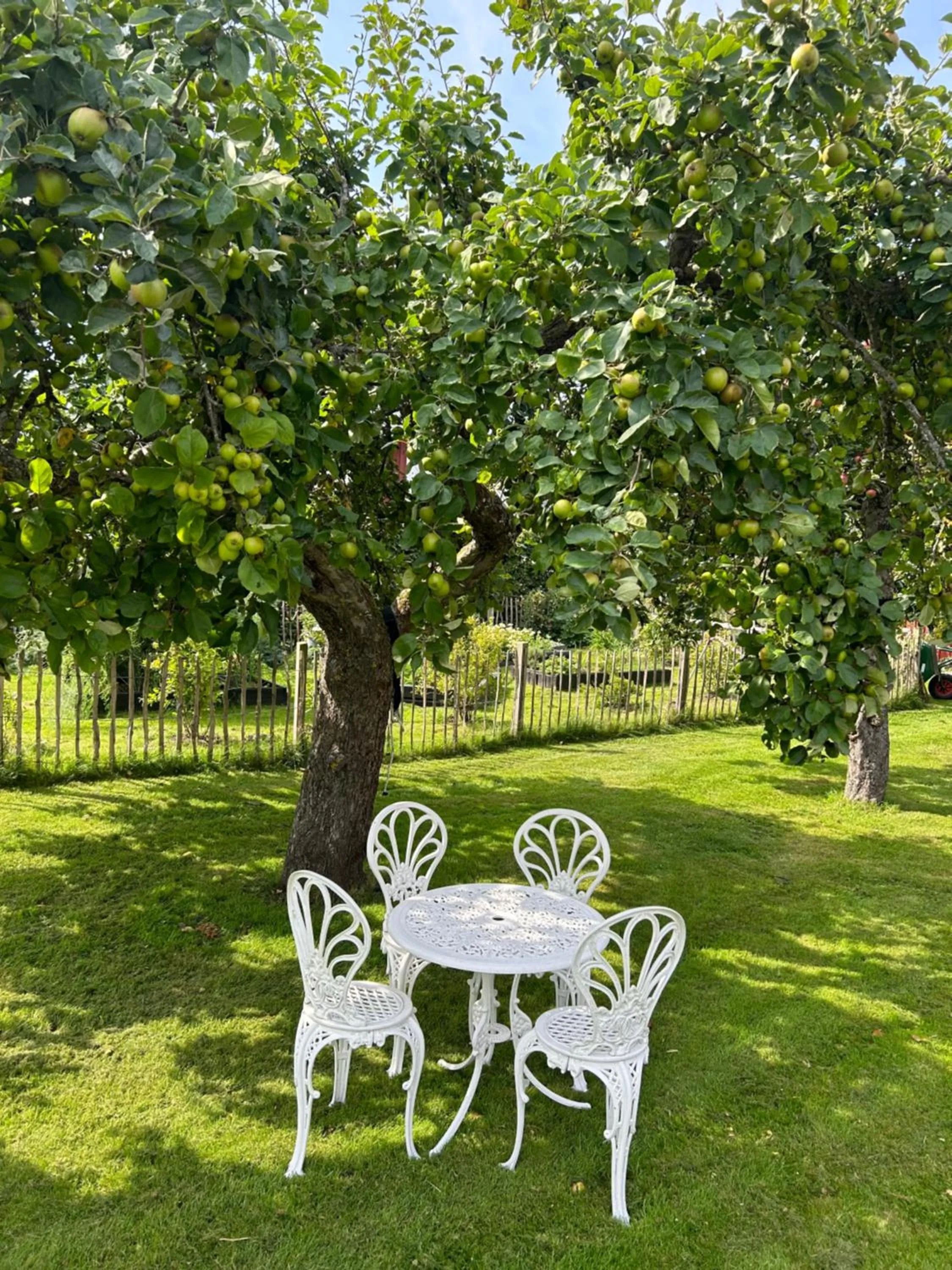 Day in Halmstad Gårdshotell