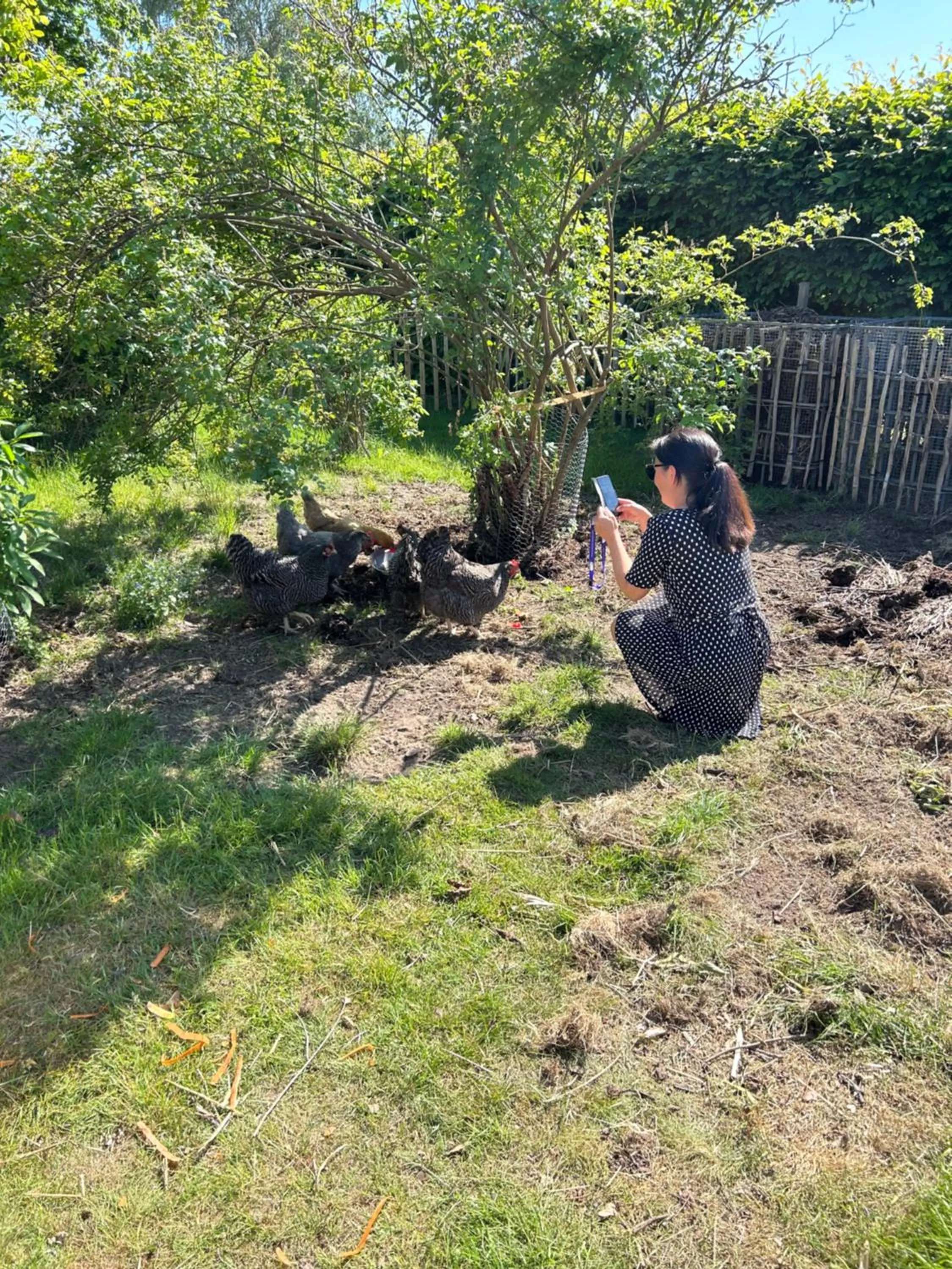 Day in Halmstad Gårdshotell