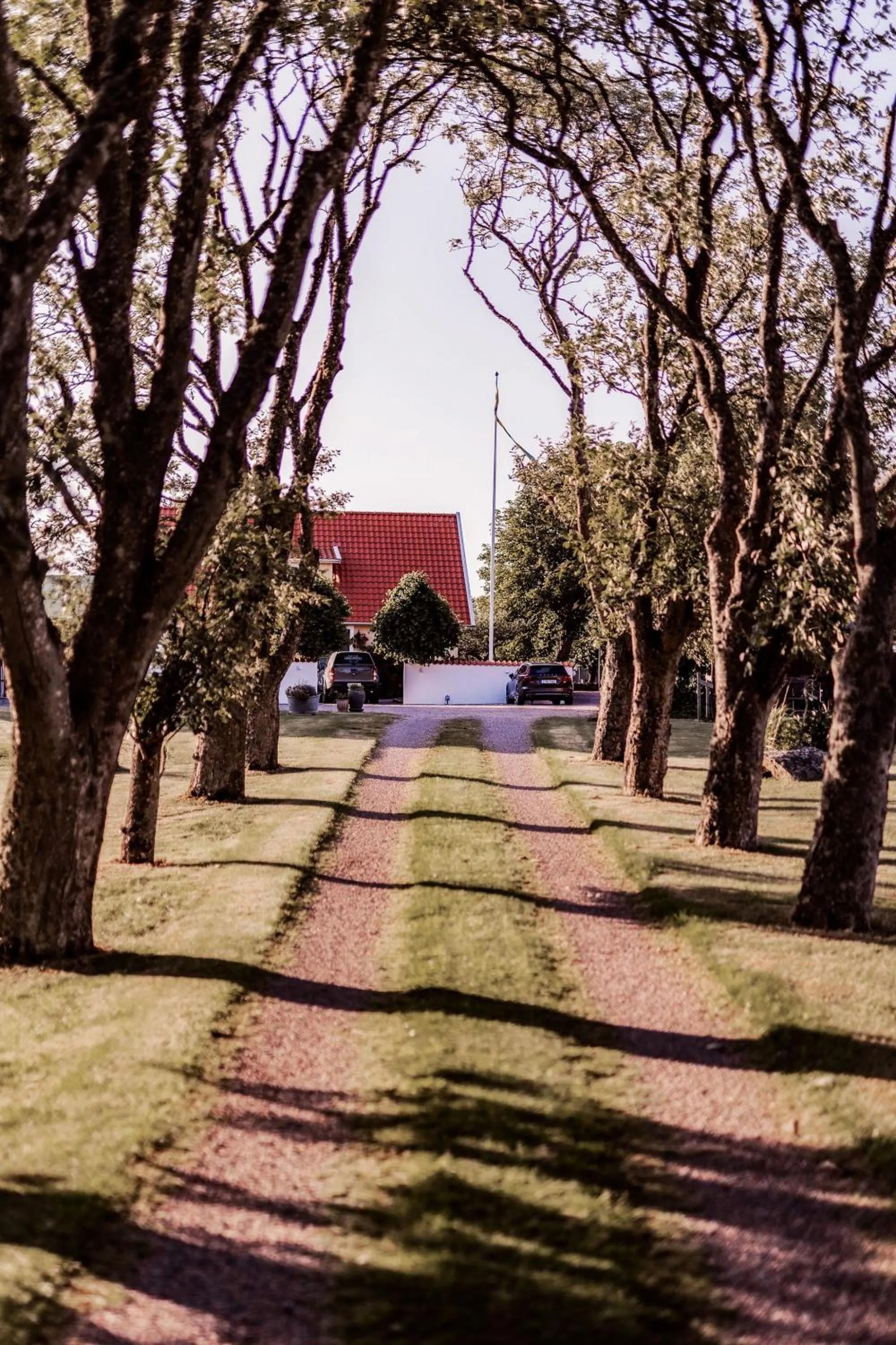 Garden view in Halmstad Gårdshotell
