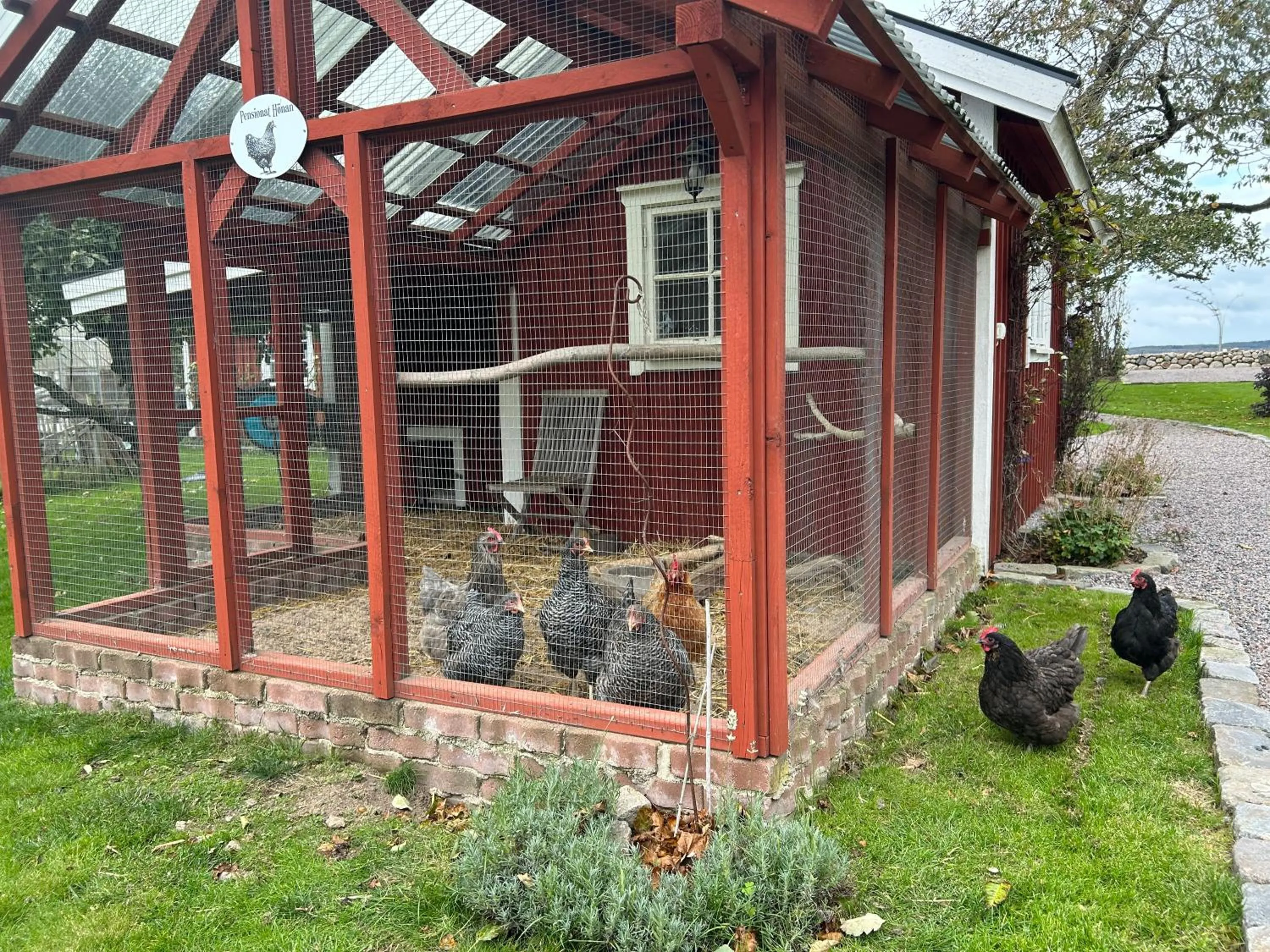 Garden in Halmstad Gårdshotell