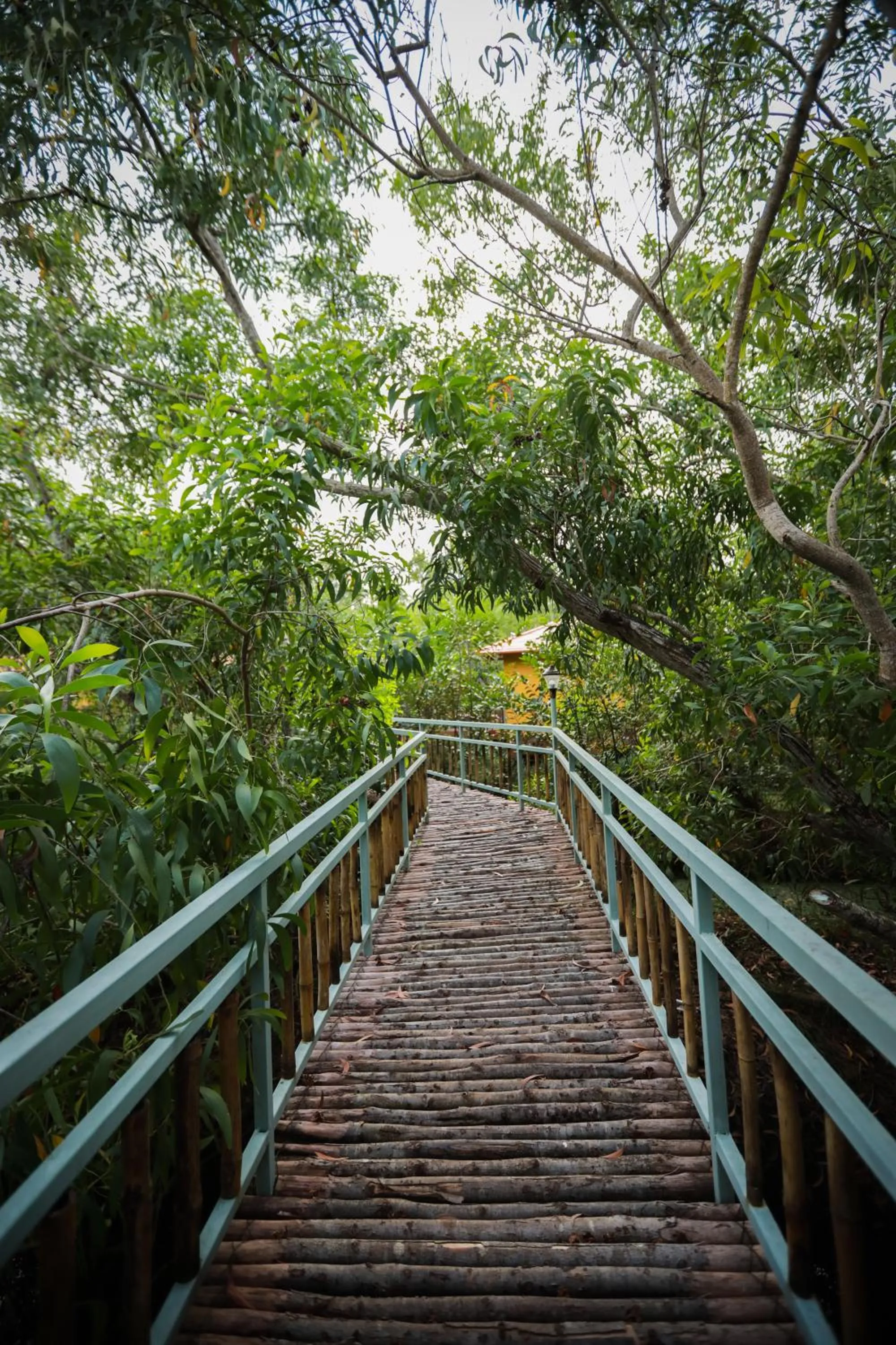 Property building in GoGo Land Resort & Adventurous Sports