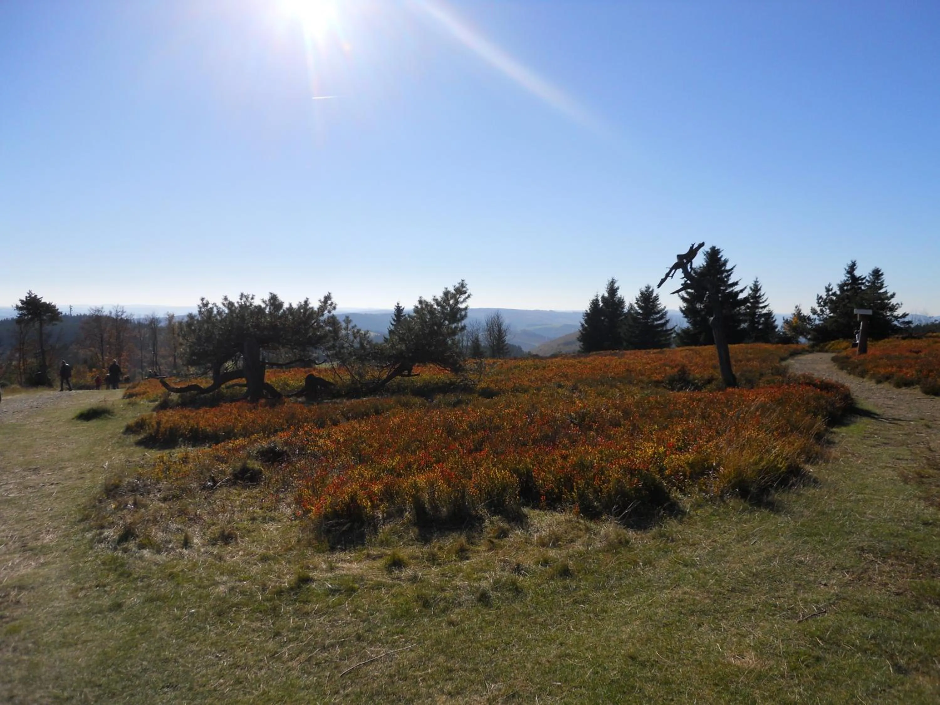 Hiking in Hotel Winterberg Resort