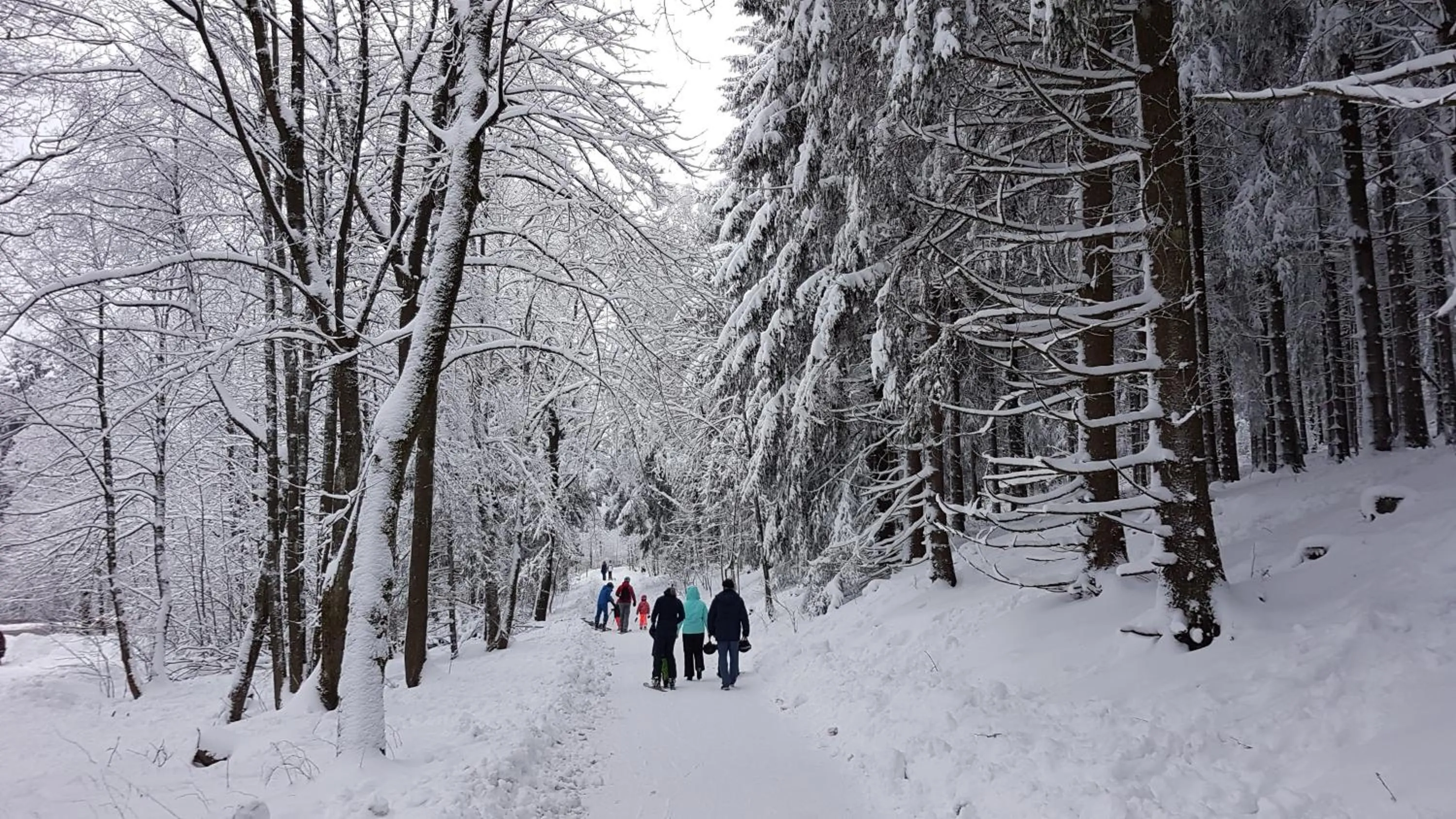 Hiking in Hotel Winterberg Resort