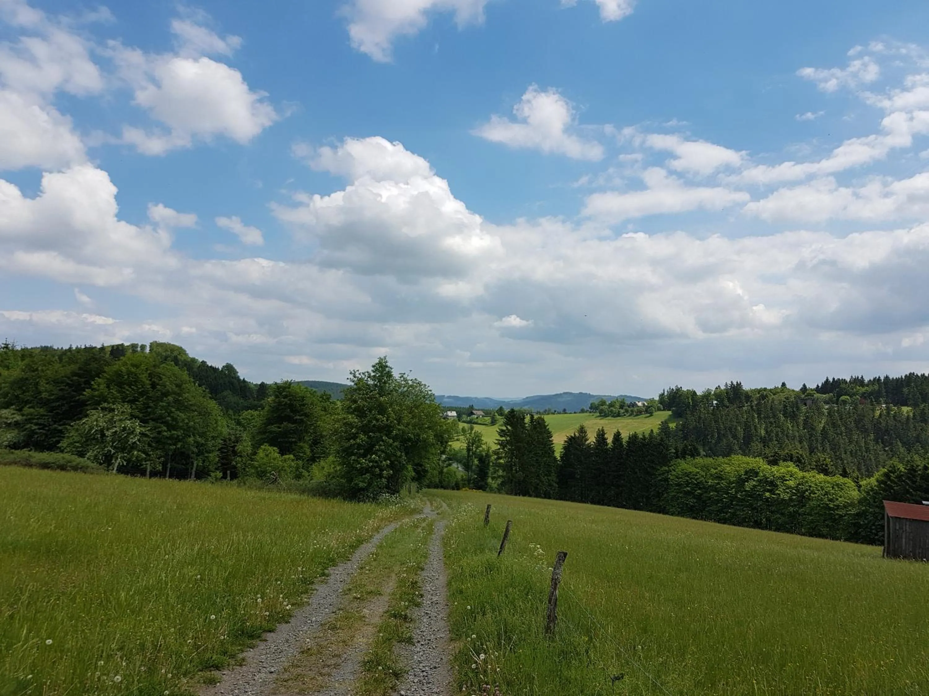 Natural landscape in Hotel Winterberg Resort