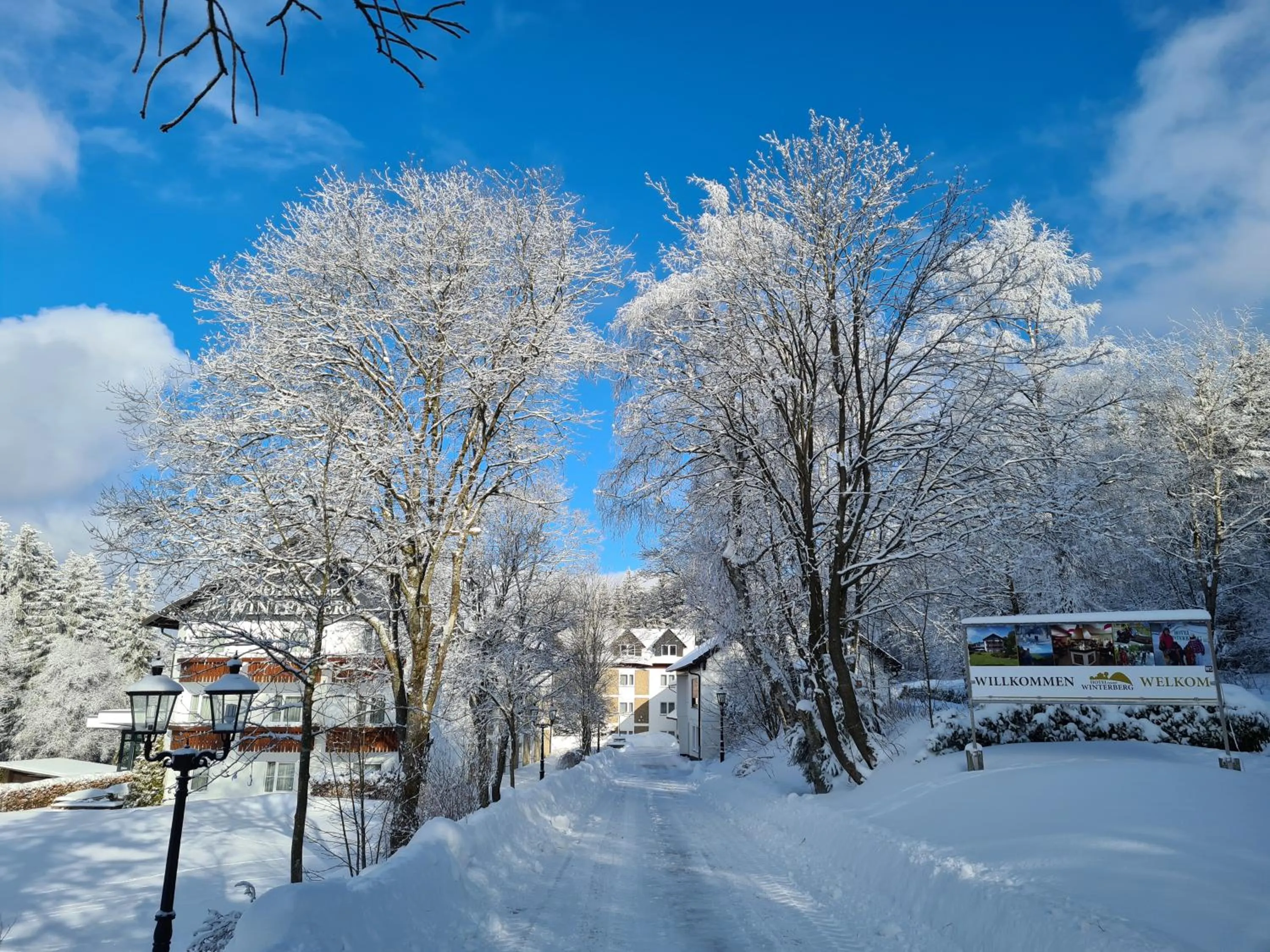 Property building in Hotel Winterberg Resort