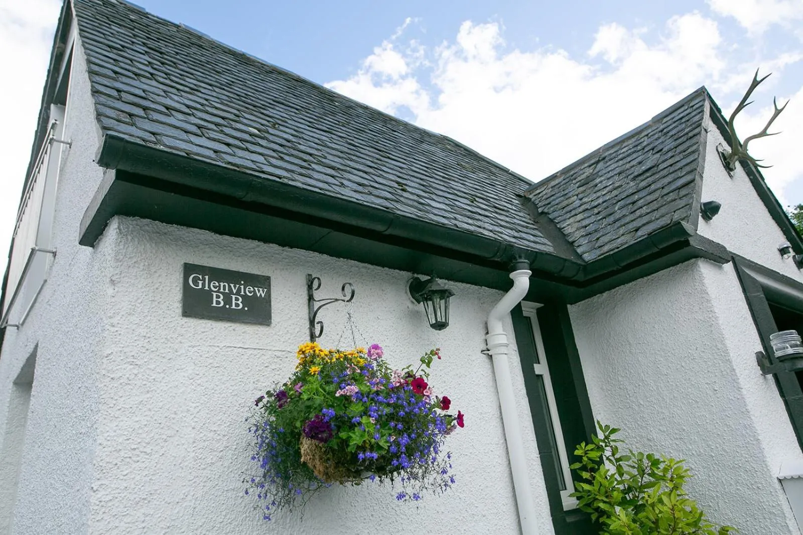 Property building in Glenview Luss