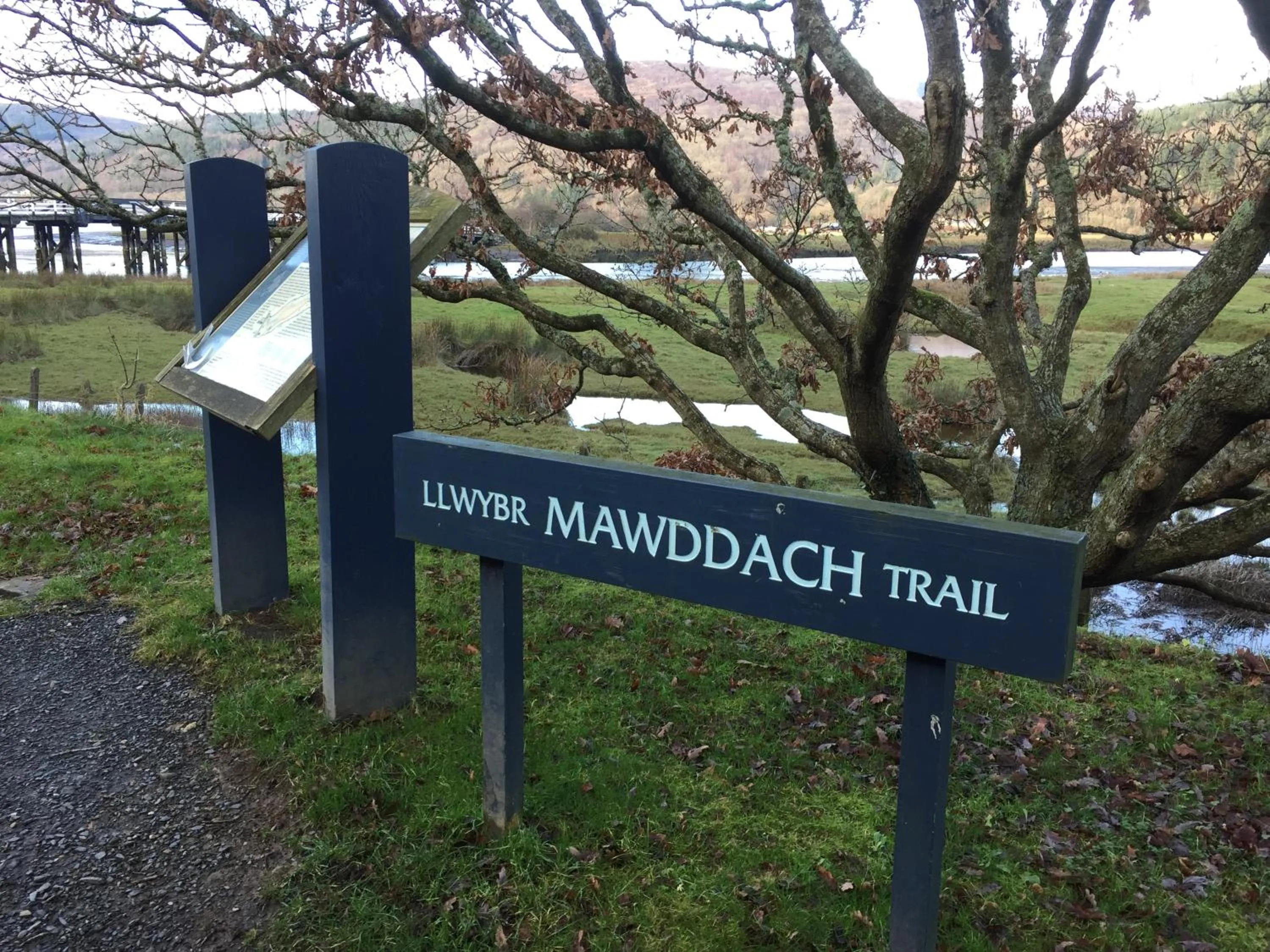 Activities in Oceandrive