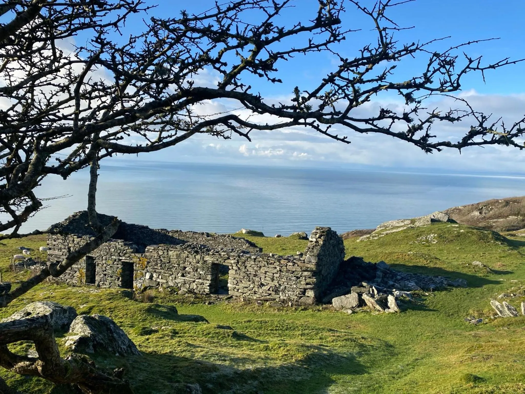 Natural landscape in Oceandrive