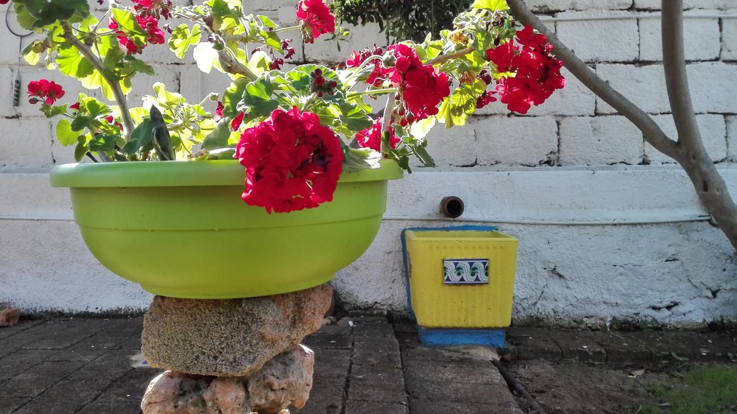 Property building in Zagara di Sicilia