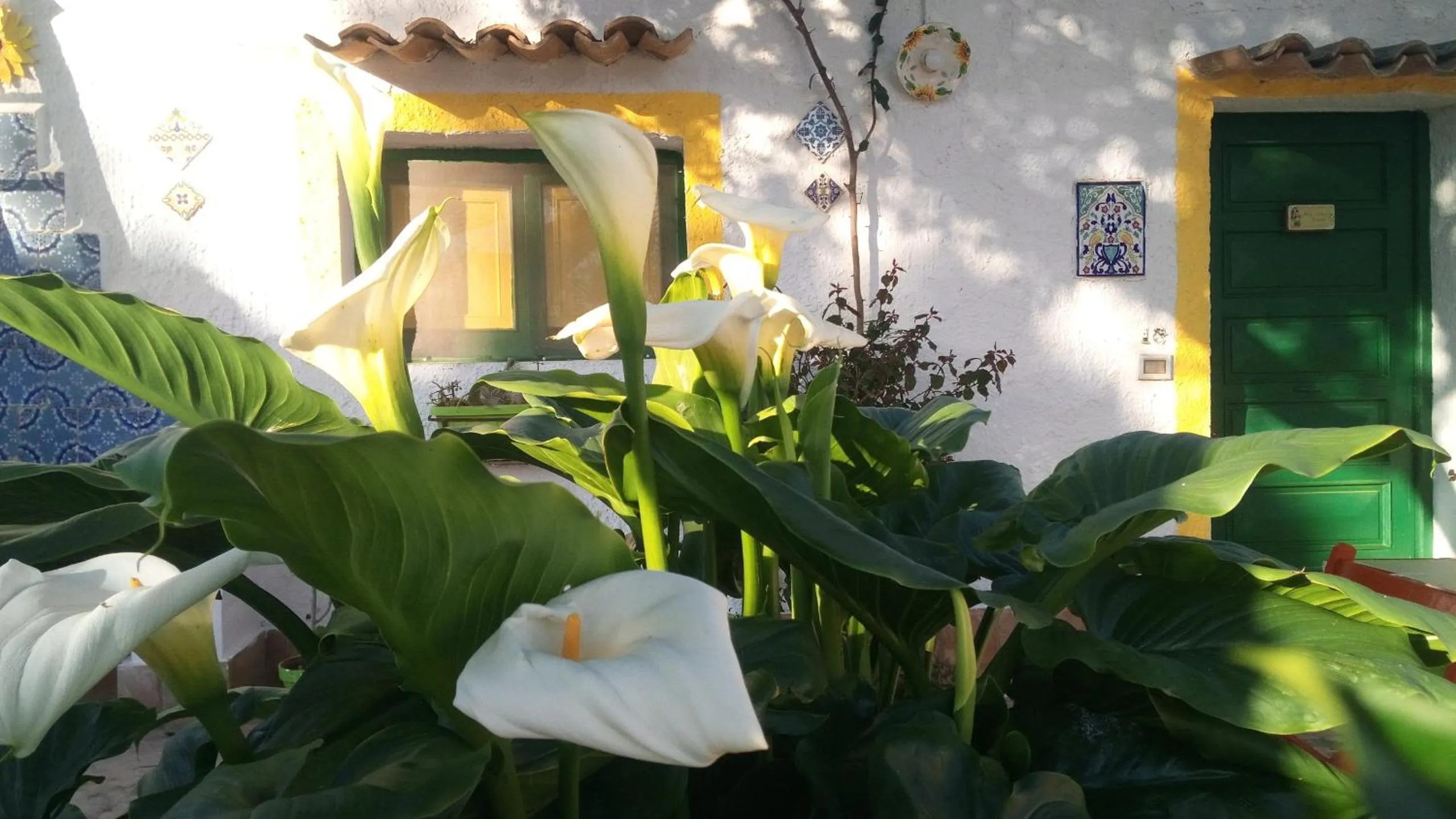 Property building in Zagara di Sicilia