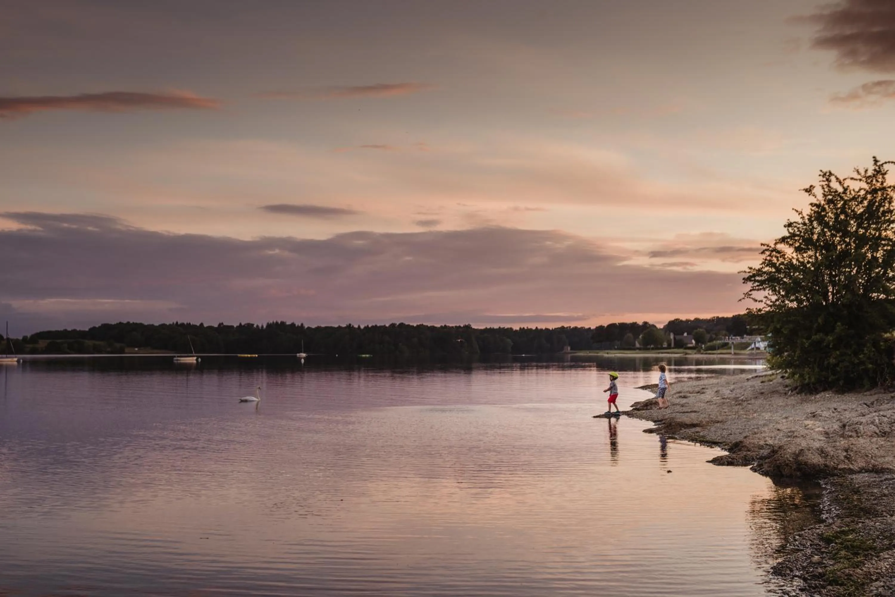 Natural landscape in Golden Lakes Village Ardennes