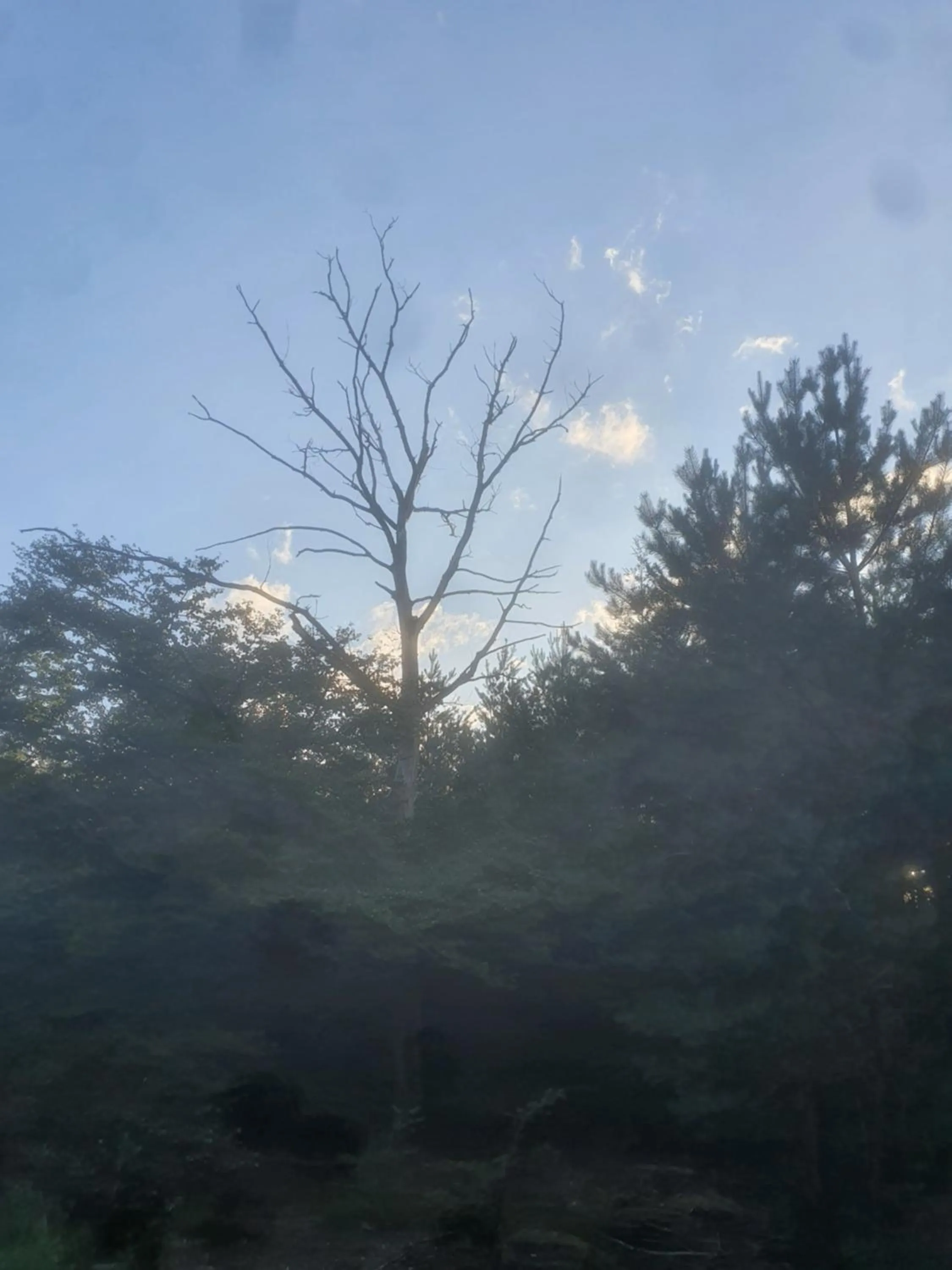 Natural landscape in B&B en vakantiehuis Helene Hoeve