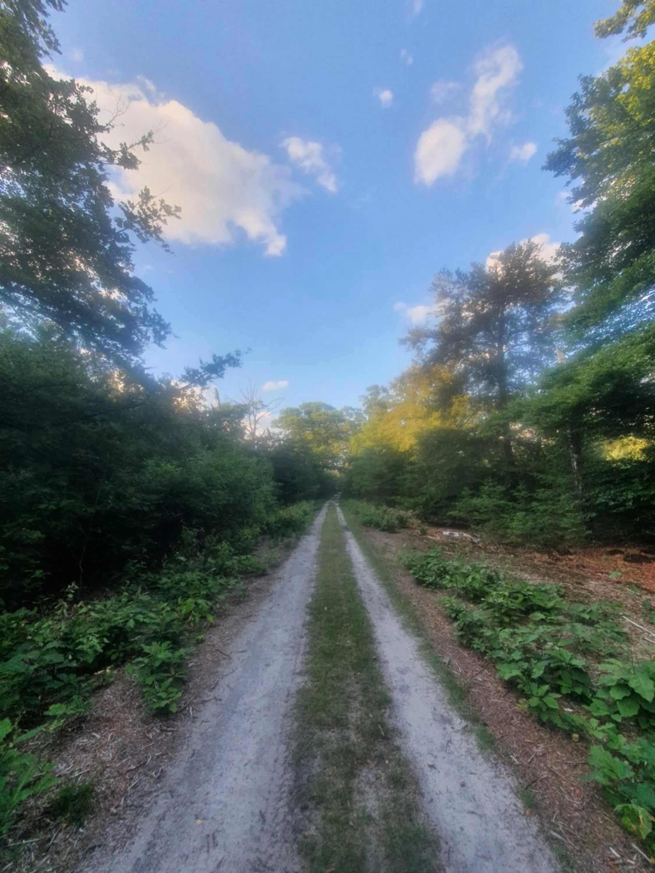 Natural landscape in B&B en vakantiehuis Helene Hoeve