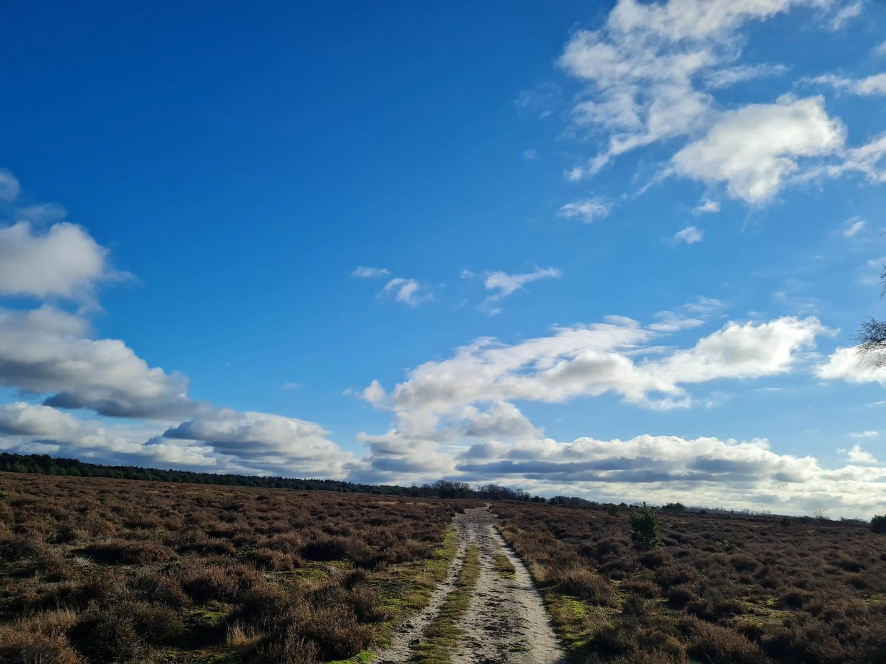 Natural landscape in B&B en vakantiehuis Helene Hoeve