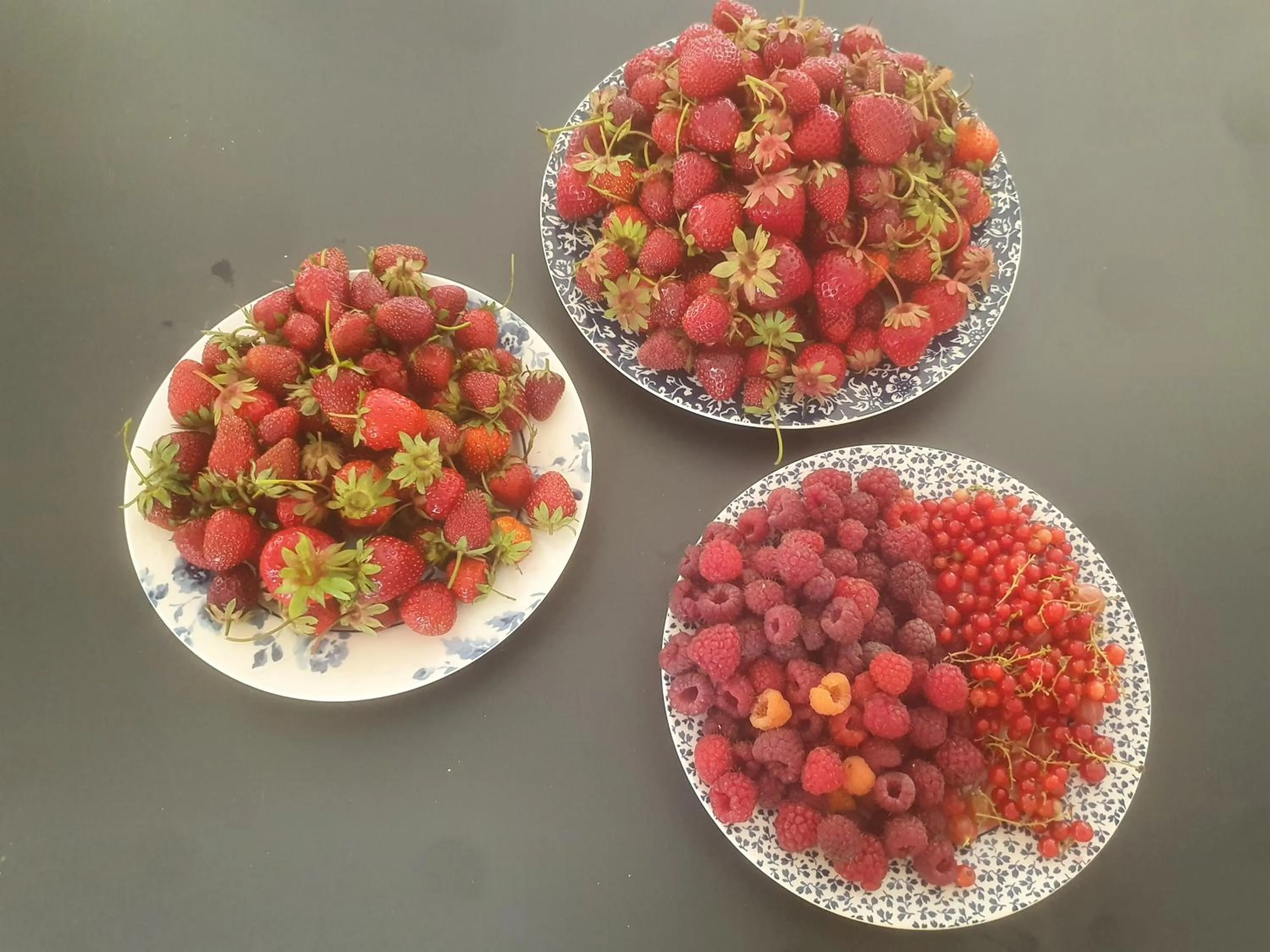 Garden in B&B en vakantiehuis Helene Hoeve