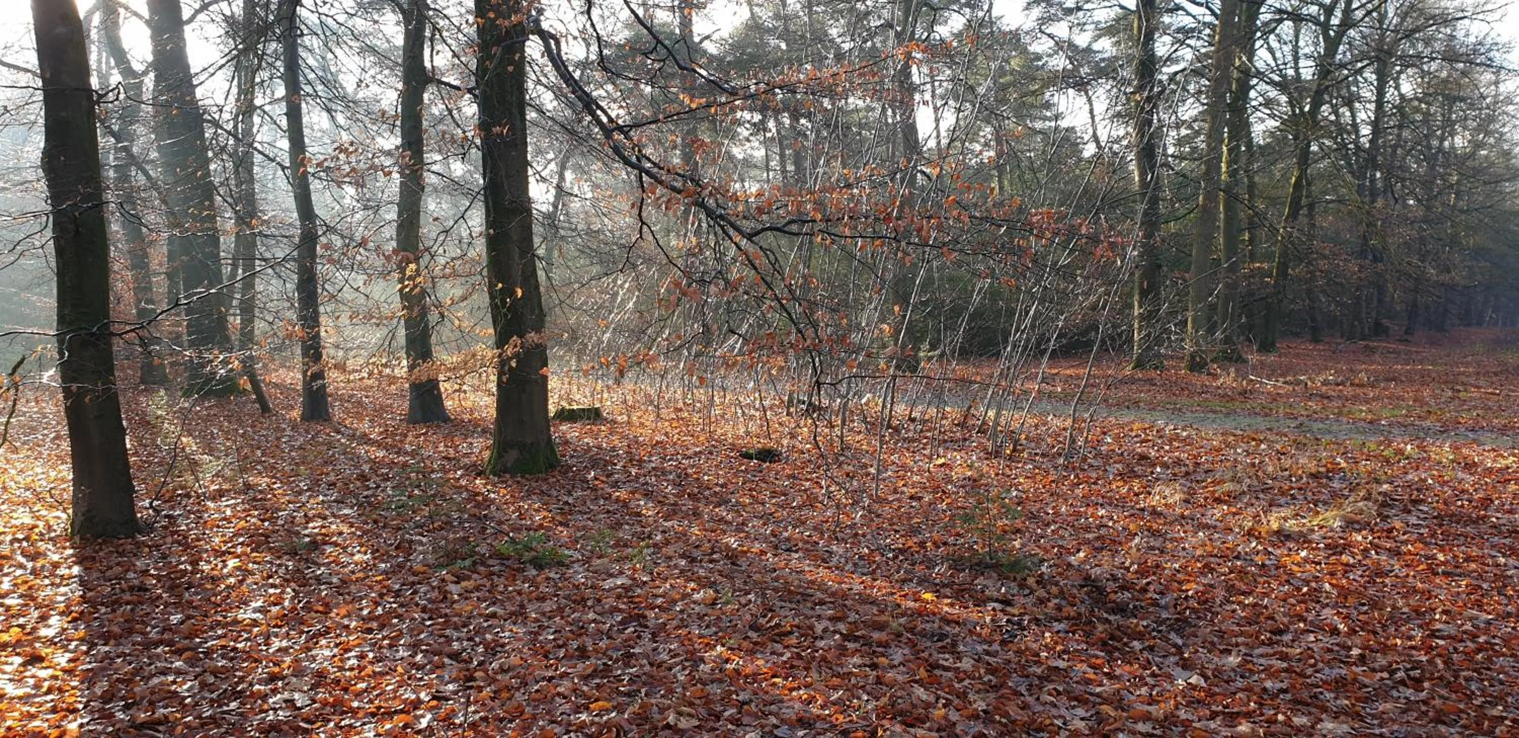 Nearby landmark in B&B en vakantiehuis Helene Hoeve