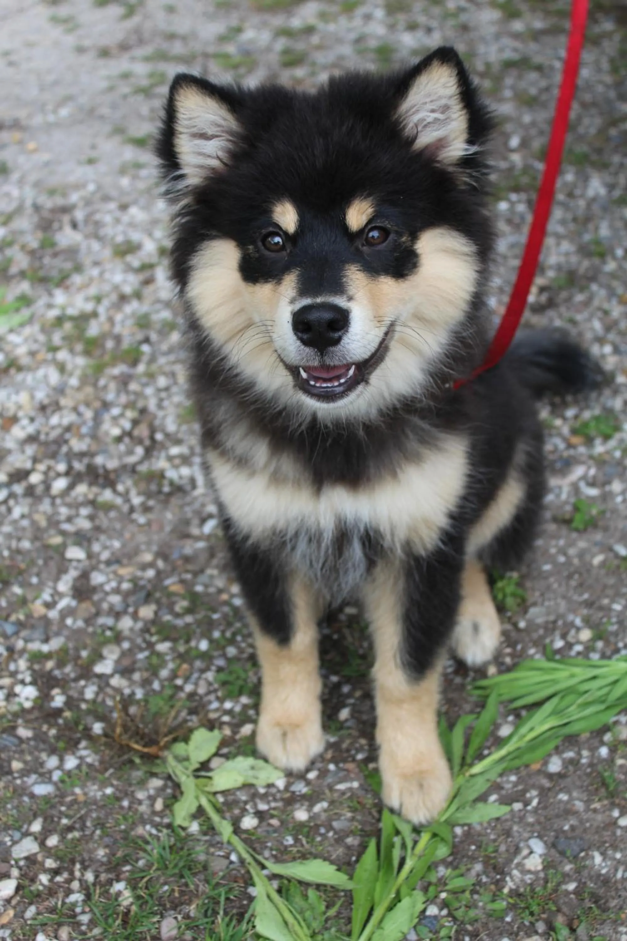 Nearby landmark in B&B en vakantiehuis Helene Hoeve