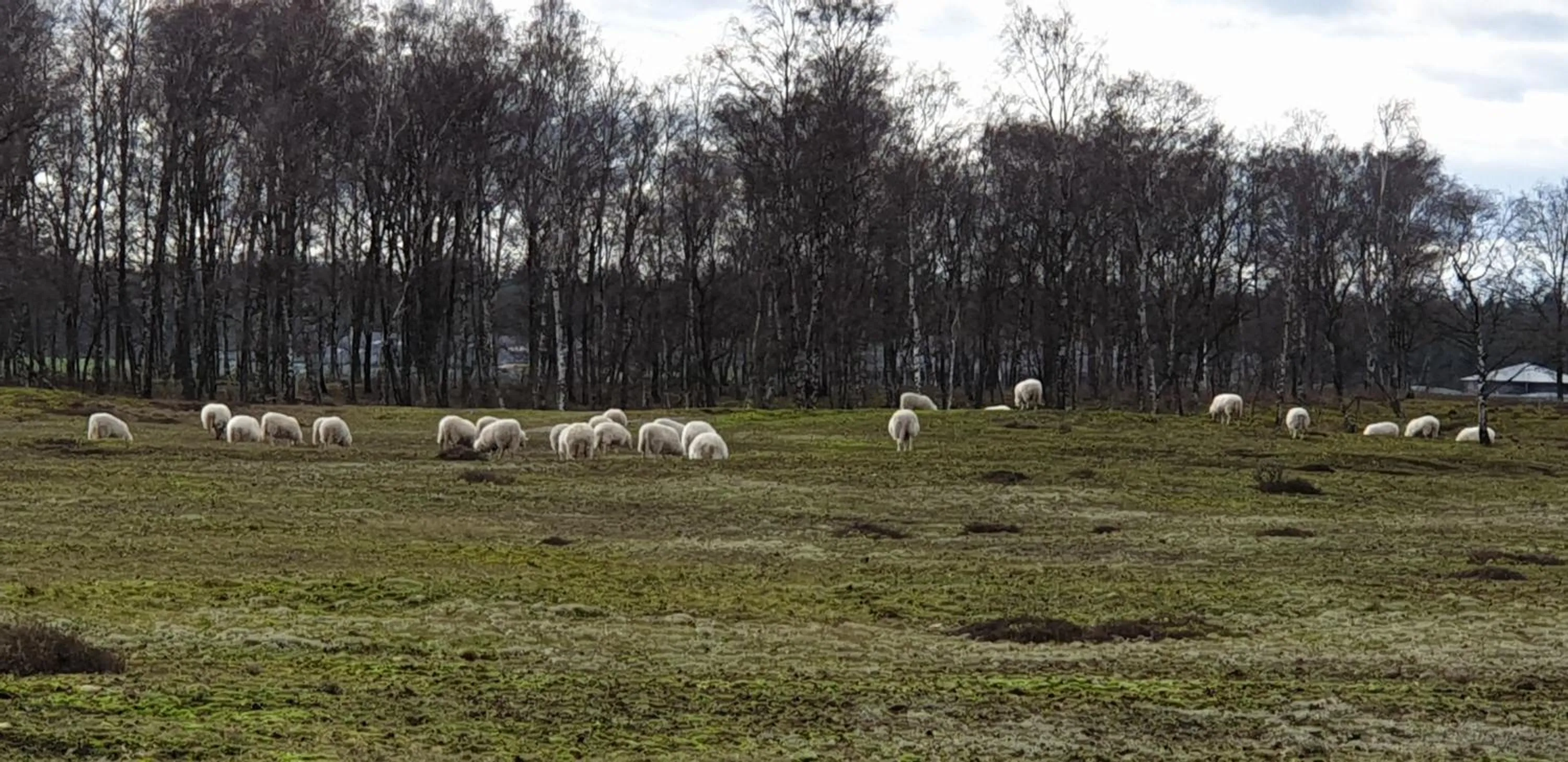 Hiking in B&B en vakantiehuis Helene Hoeve