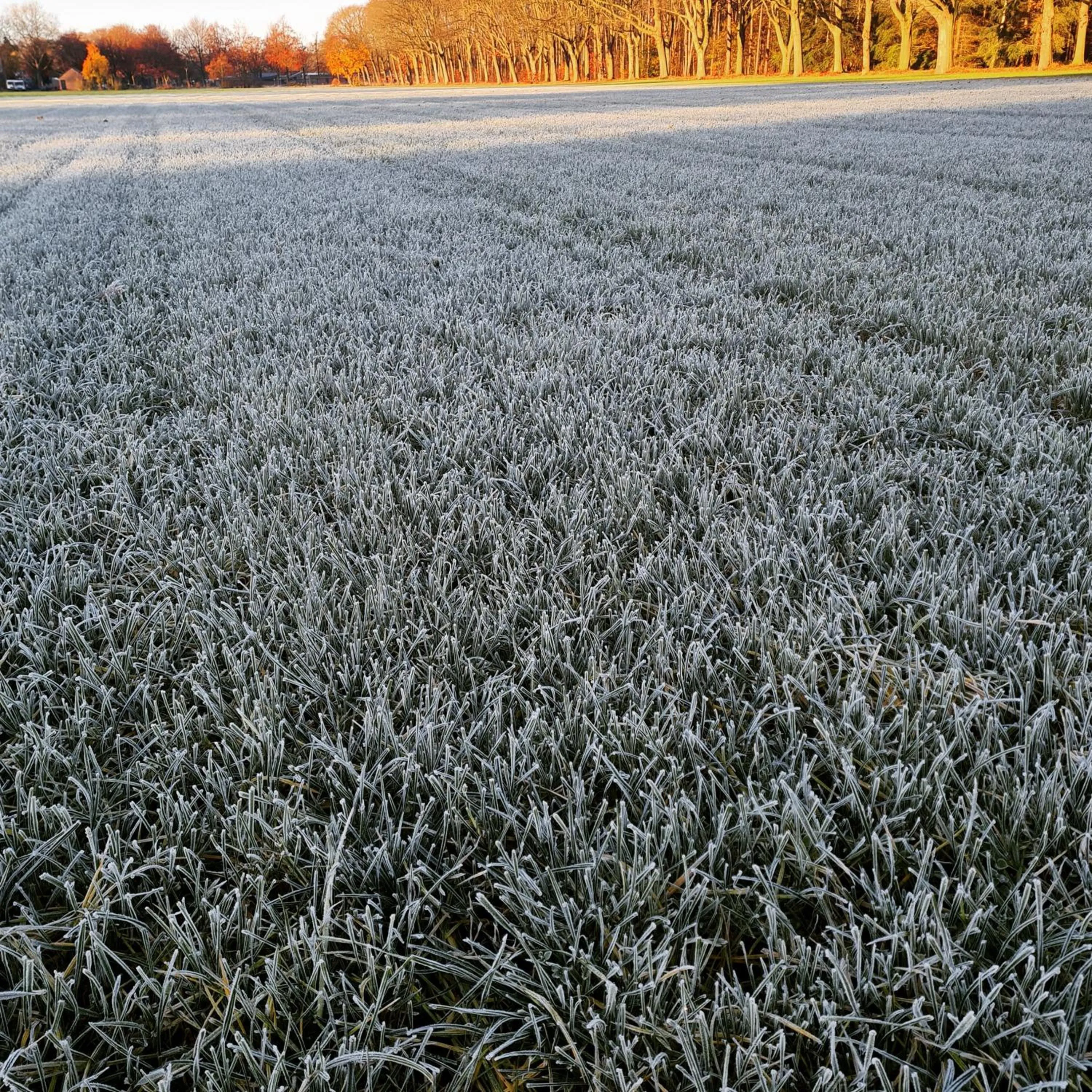 Natural landscape in B&B en vakantiehuis Helene Hoeve