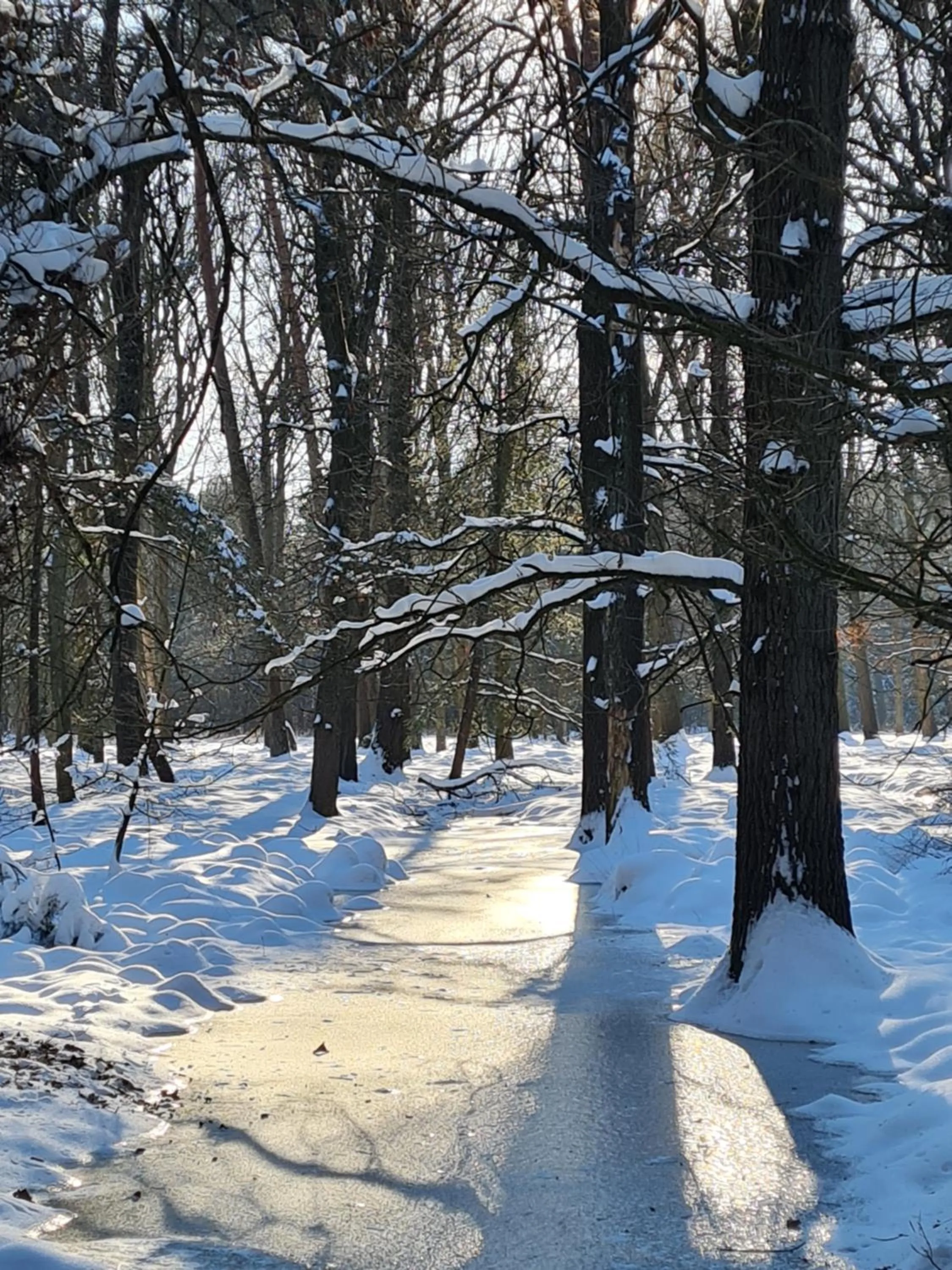 Natural landscape in B&B en vakantiehuis Helene Hoeve