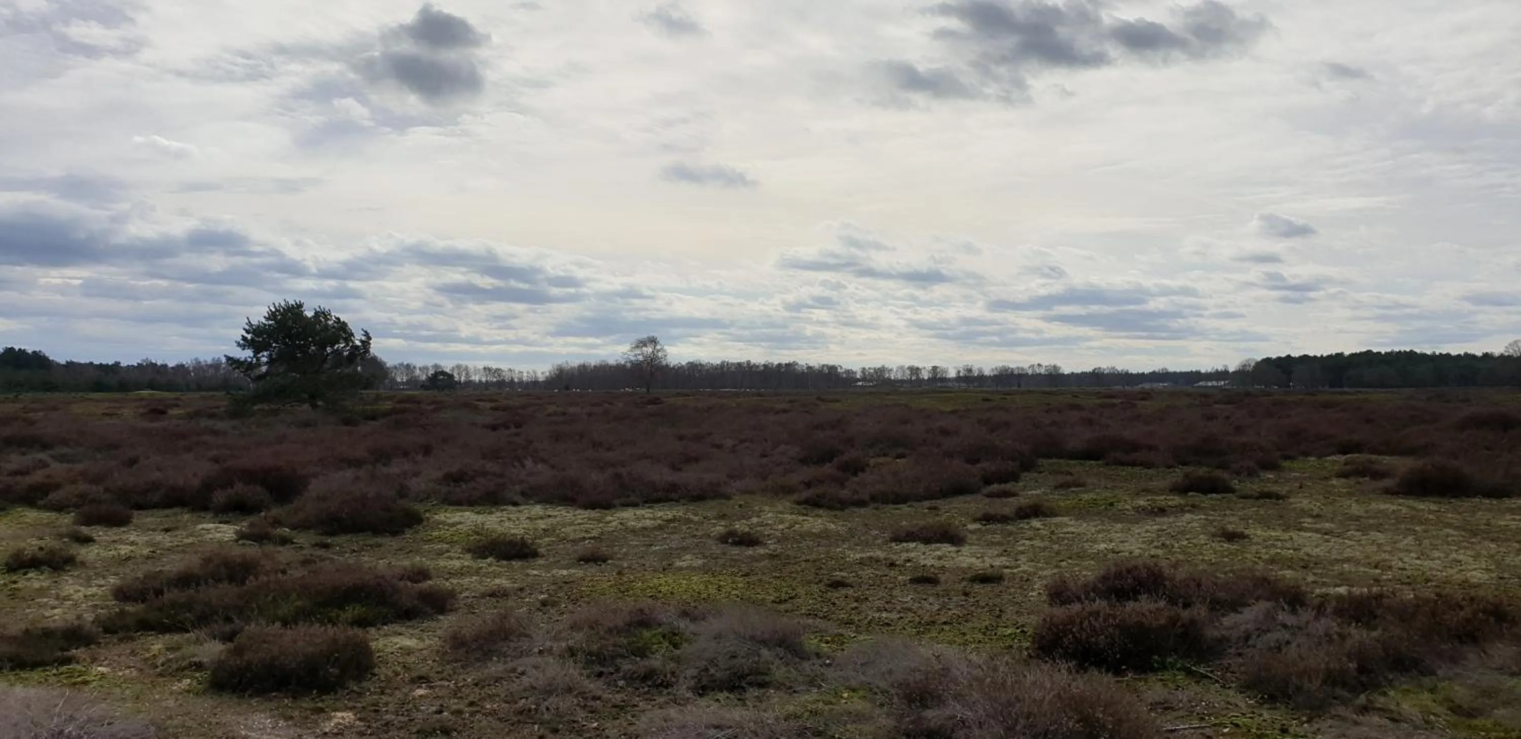 Neighbourhood in B&B en vakantiehuis Helene Hoeve