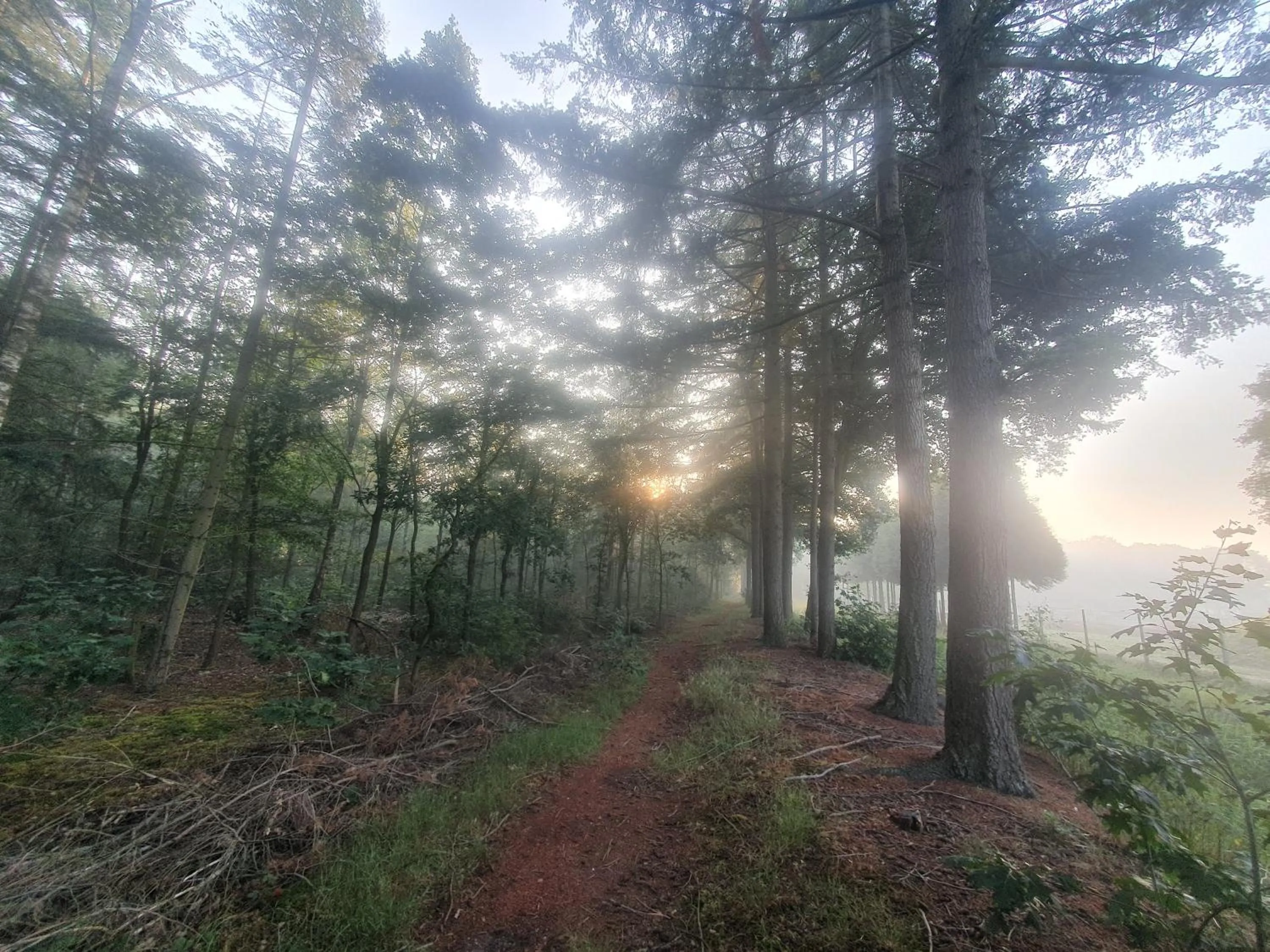 Neighbourhood in B&B en vakantiehuis Helene Hoeve