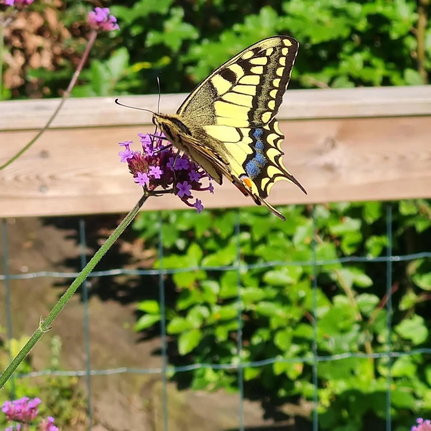 Natural landscape in B&B en vakantiehuis Helene Hoeve