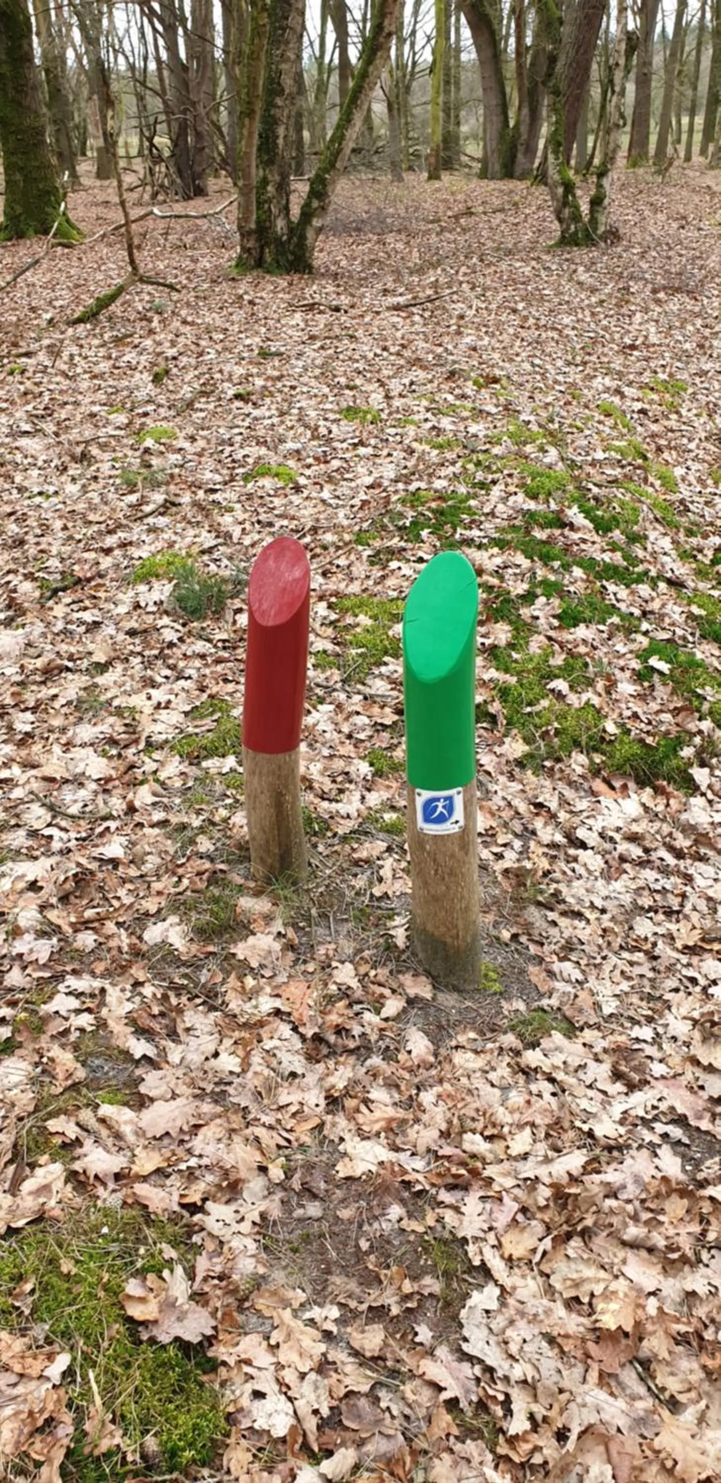 Natural landscape in B&B en vakantiehuis Helene Hoeve