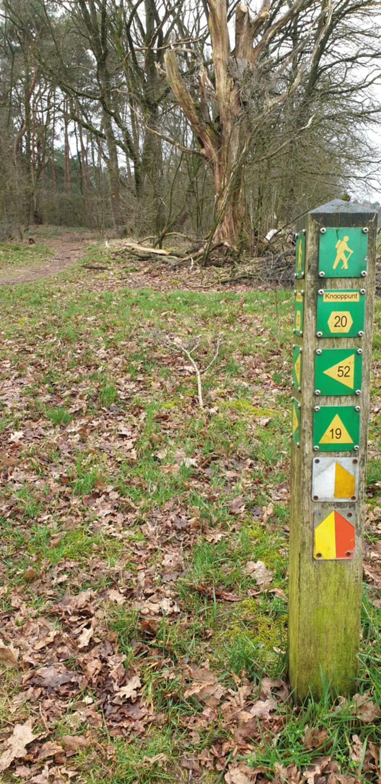 Natural landscape in B&B en vakantiehuis Helene Hoeve