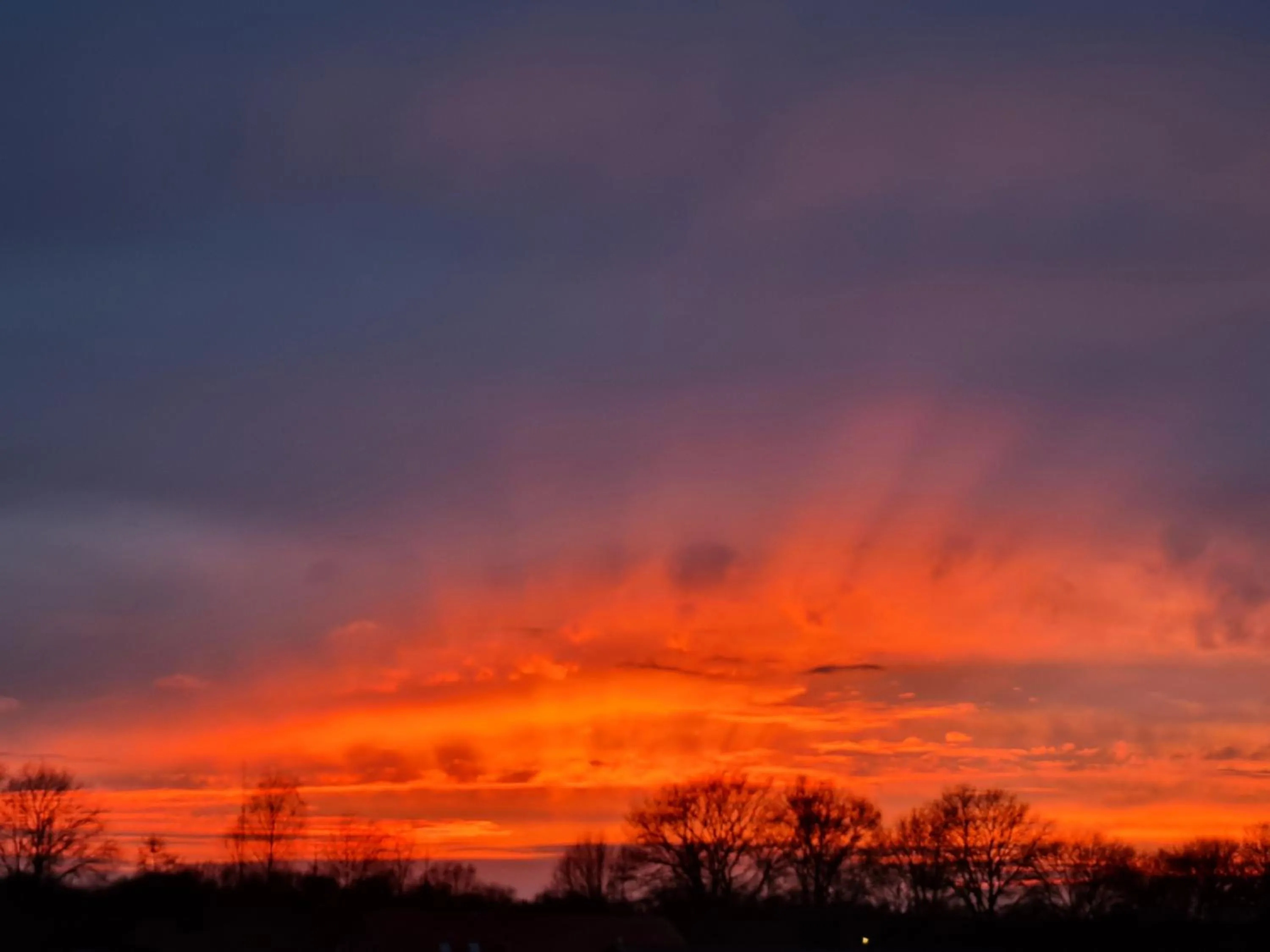 Natural landscape in B&B en vakantiehuis Helene Hoeve